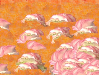 cloud blossom press.jpg