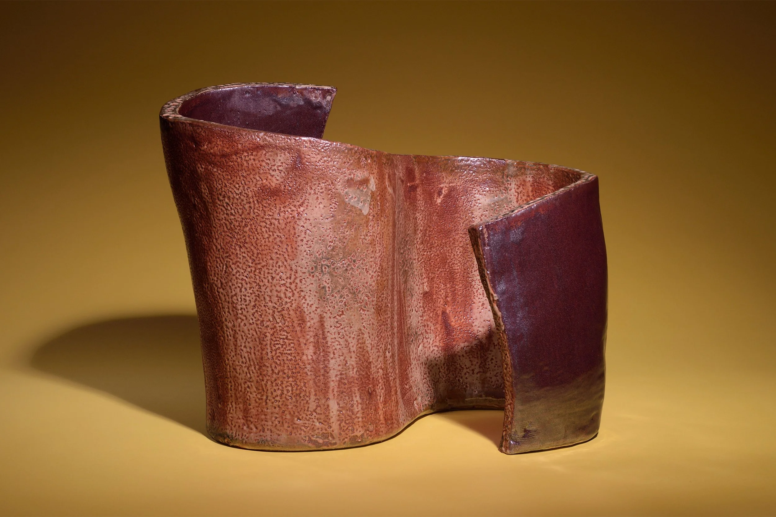 Netzer_Main Image.jpeg