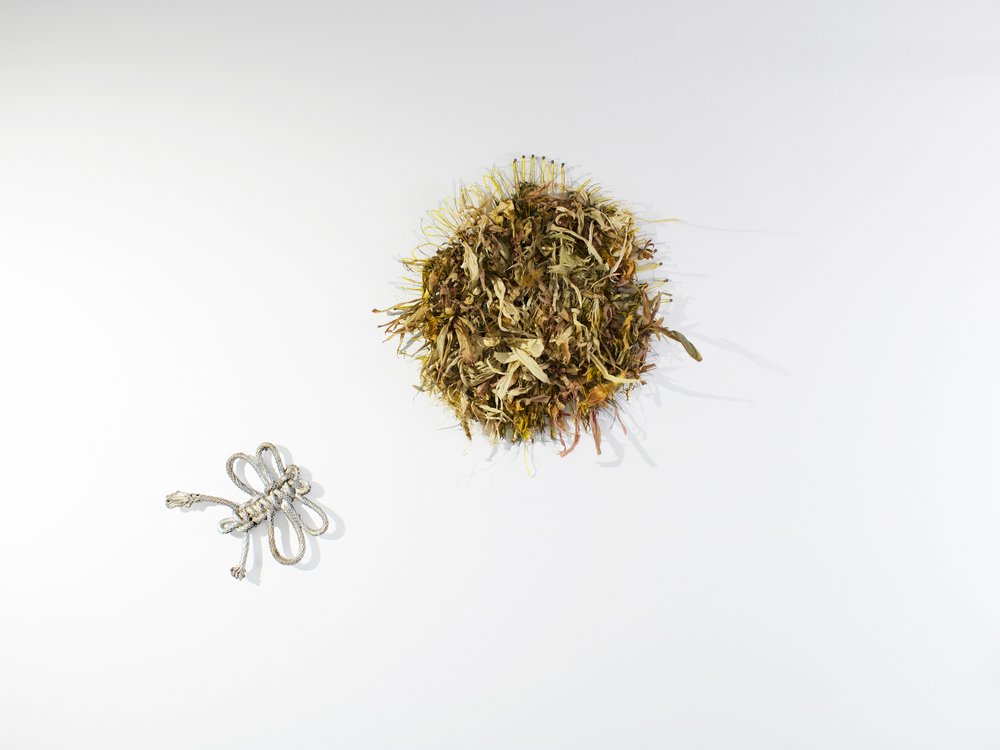  Zoila Andrea Coc-Chang,  hoi1 faa1/florecer , 2021-22, Nylon string, floral wire, corn husks, corn leaves, night blooming cereus, aluminum, and nails on wall, 44 x 35 x 6 inches. Photo: Sebastián Pérez. 