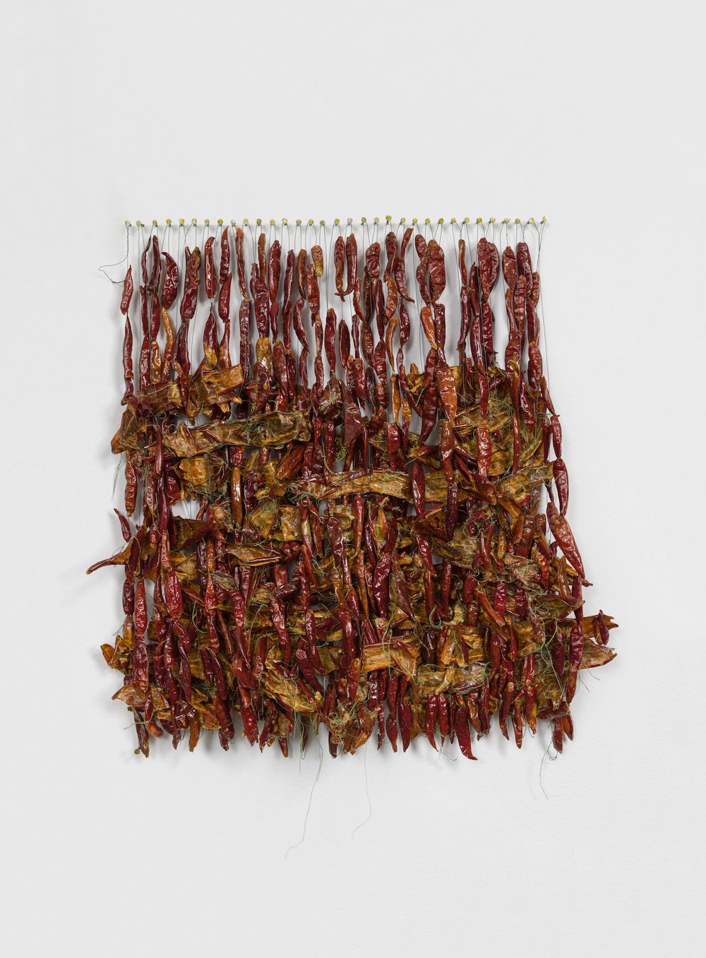  Zoila Andrea Coc-Chang,  aguas! , 2021, Dried chili peppers, thread, glitter, floral wire and nails on wall, 20 x 17 x 2 inches. Photo: Etienne Frossard. 