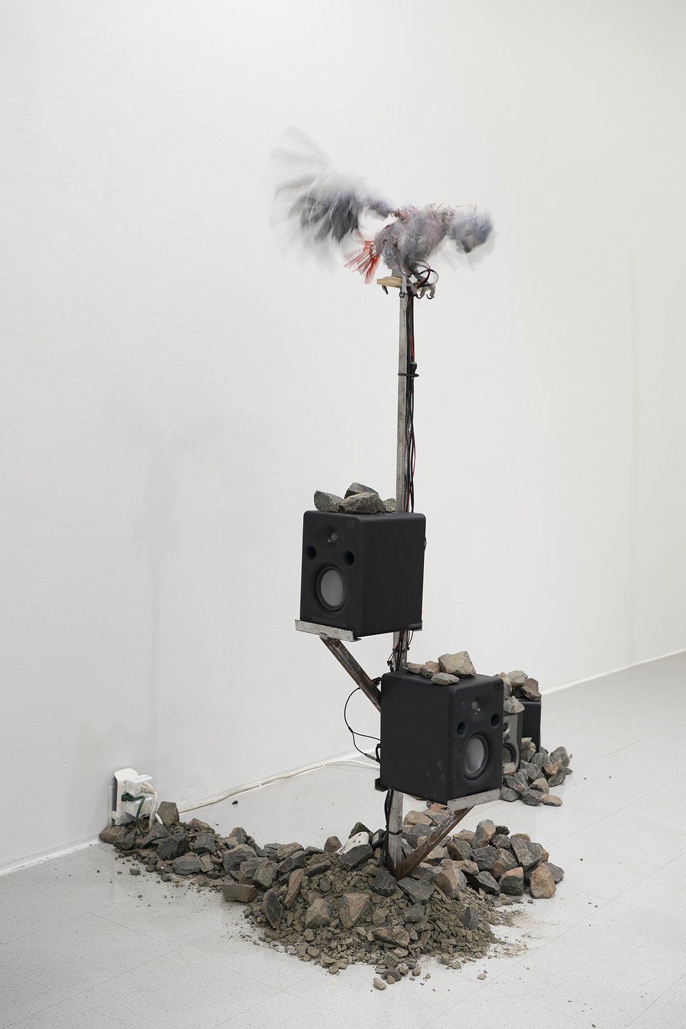  Anoushé Shojae-Chaghorvand,  The Operation Itself , 2021, Installation, Servo motors, pitch indicators, Arduino Unos, Pololu microcontrollers, feathers, silicone, Amazon Alexa, steel roller chain, plywood, thermoplastic, glass eyes, needles, hot glu