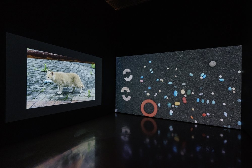  Ohan Breiding,  Souvenir , 2023, Two-channel 2k video and sound installation, dimensions variable. Installed at Kunsthaus Zürich as a part of  Zeit: From Dürer to Bonvicini  and made in collaboration with Shoghig Halajian. 