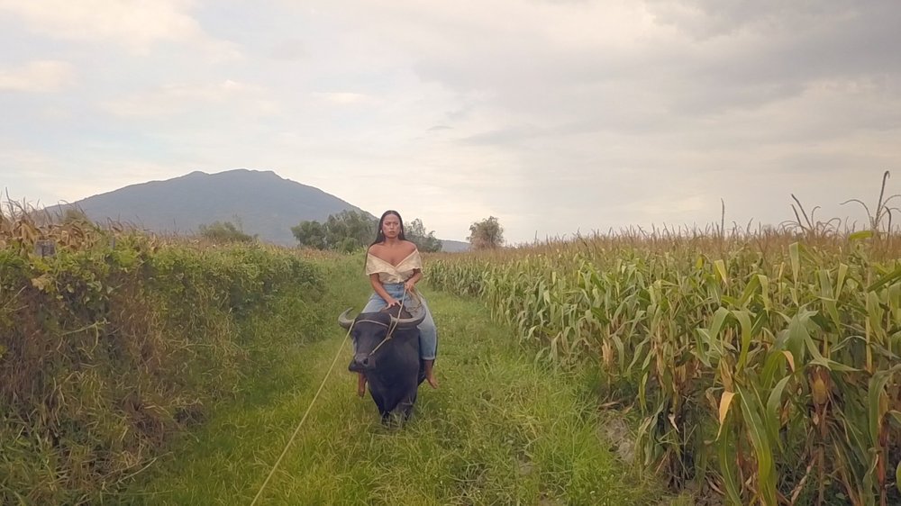  Caroline Garcia,  Queen of the Carabao  (video still), 2018, Two-channel digital video, color, sound, 30 minutes. 