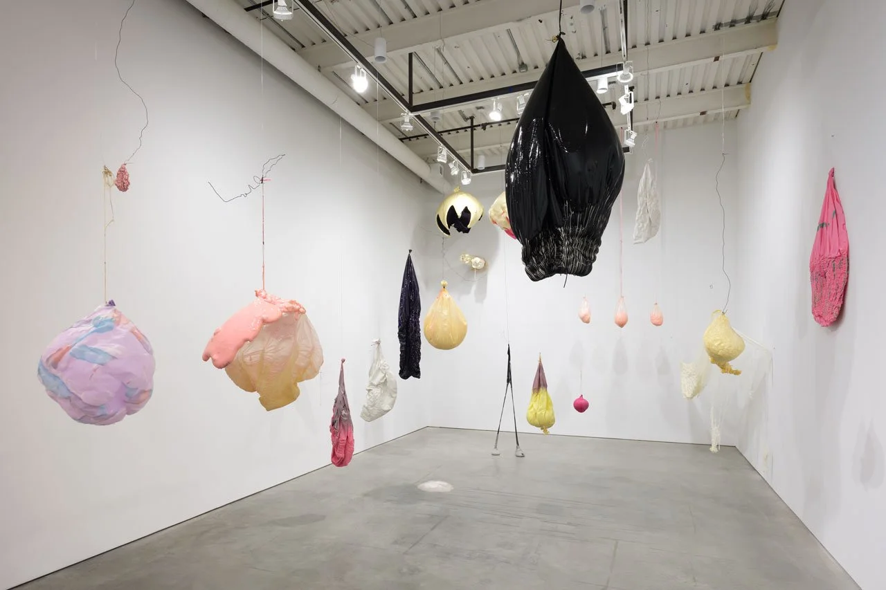 1. Install view of Levity and Depth_photo by Steven Probert.jpg