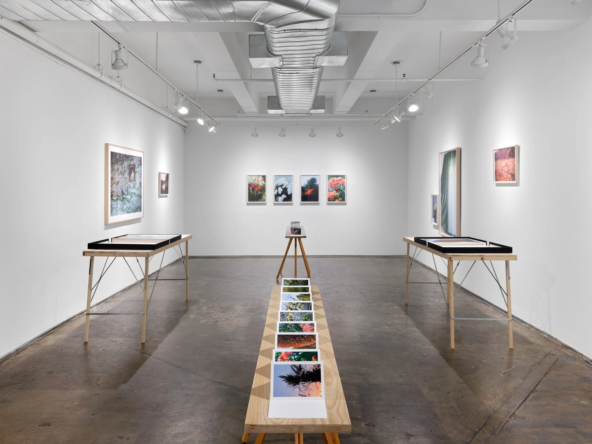 250913_AIR Gallery_Installs_G1_01.jpg