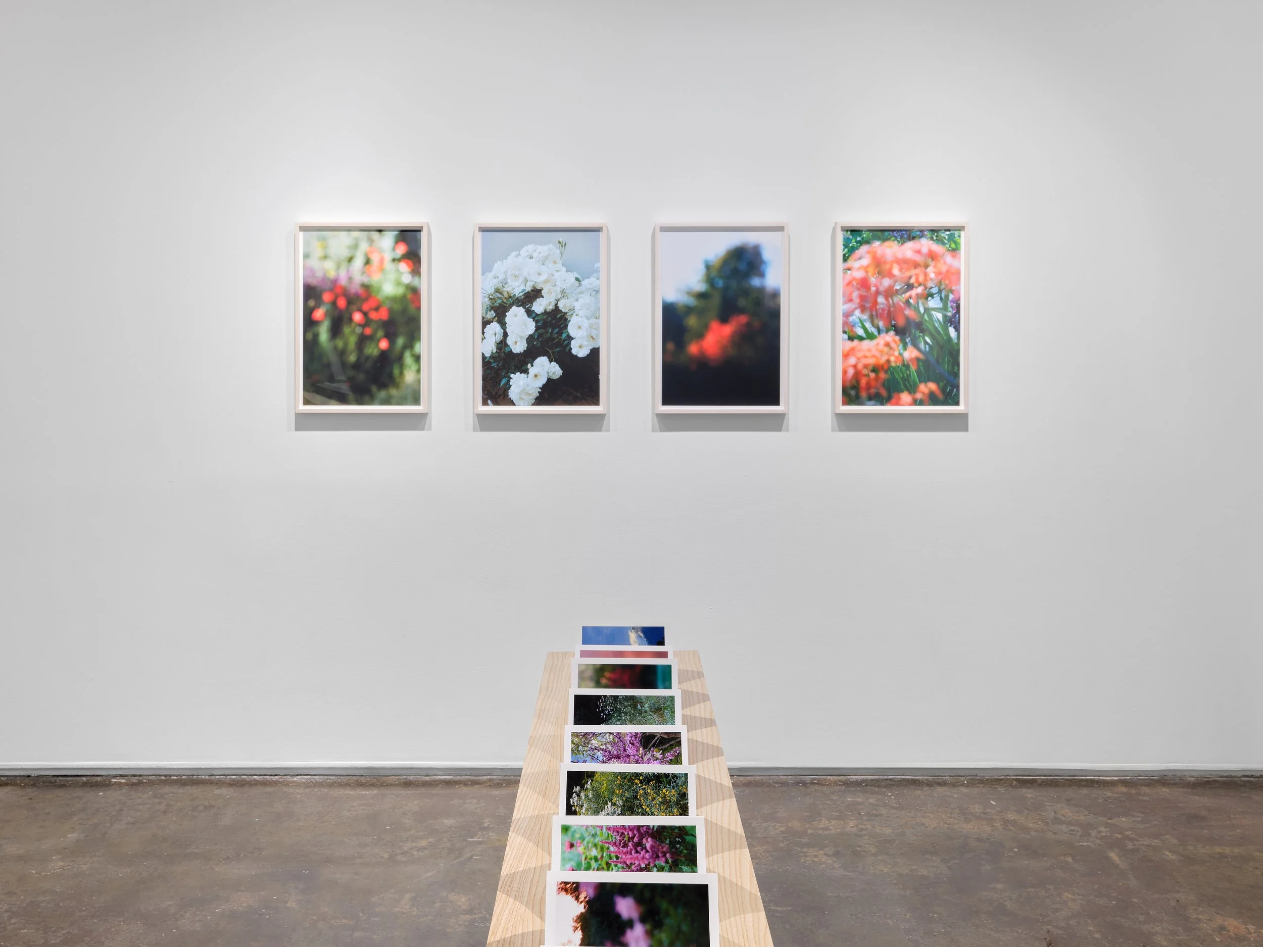 250913_AIR Gallery_Installs_G1_03.jpg