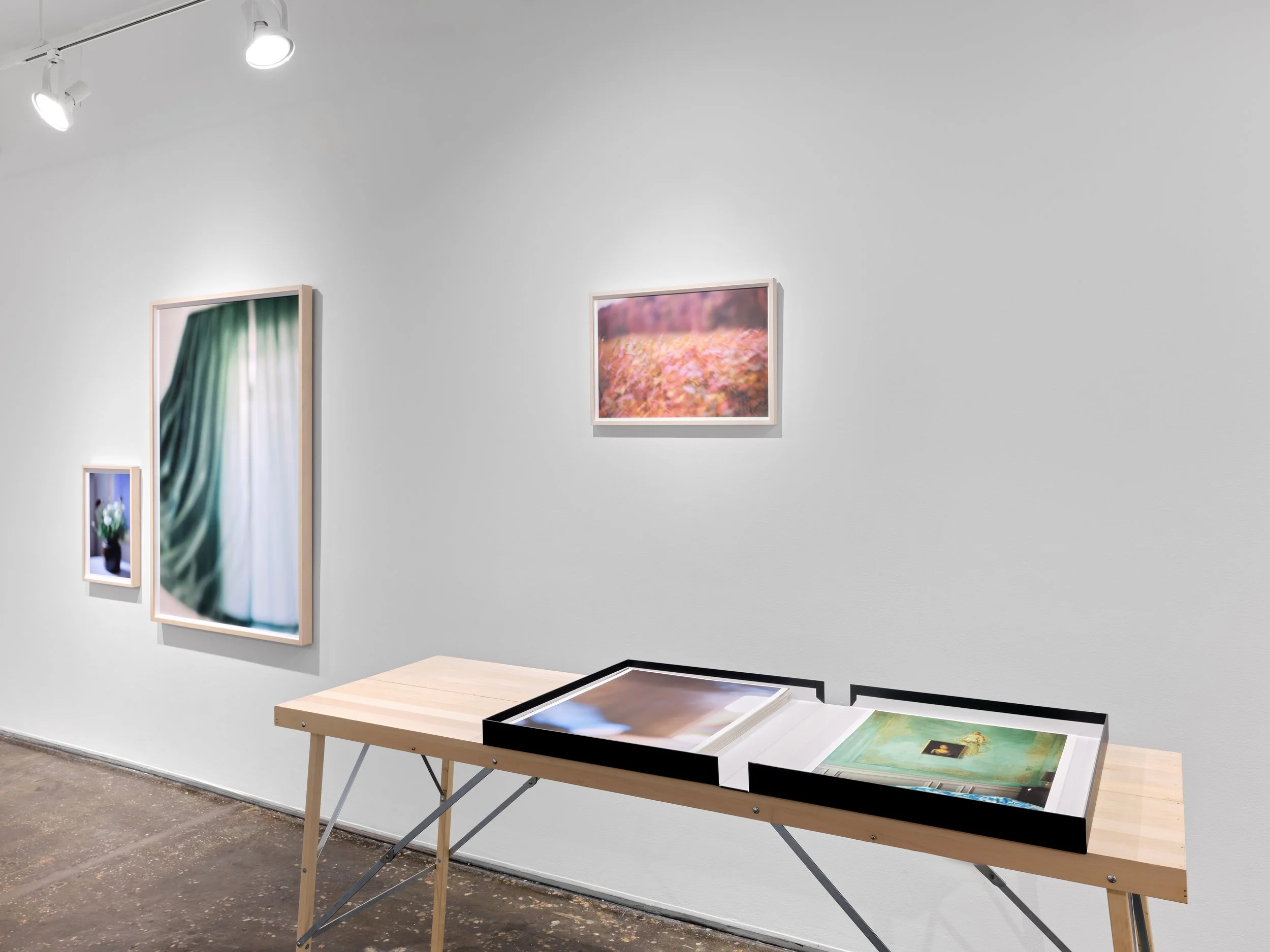 250913_AIR Gallery_Installs_G1_05.jpg