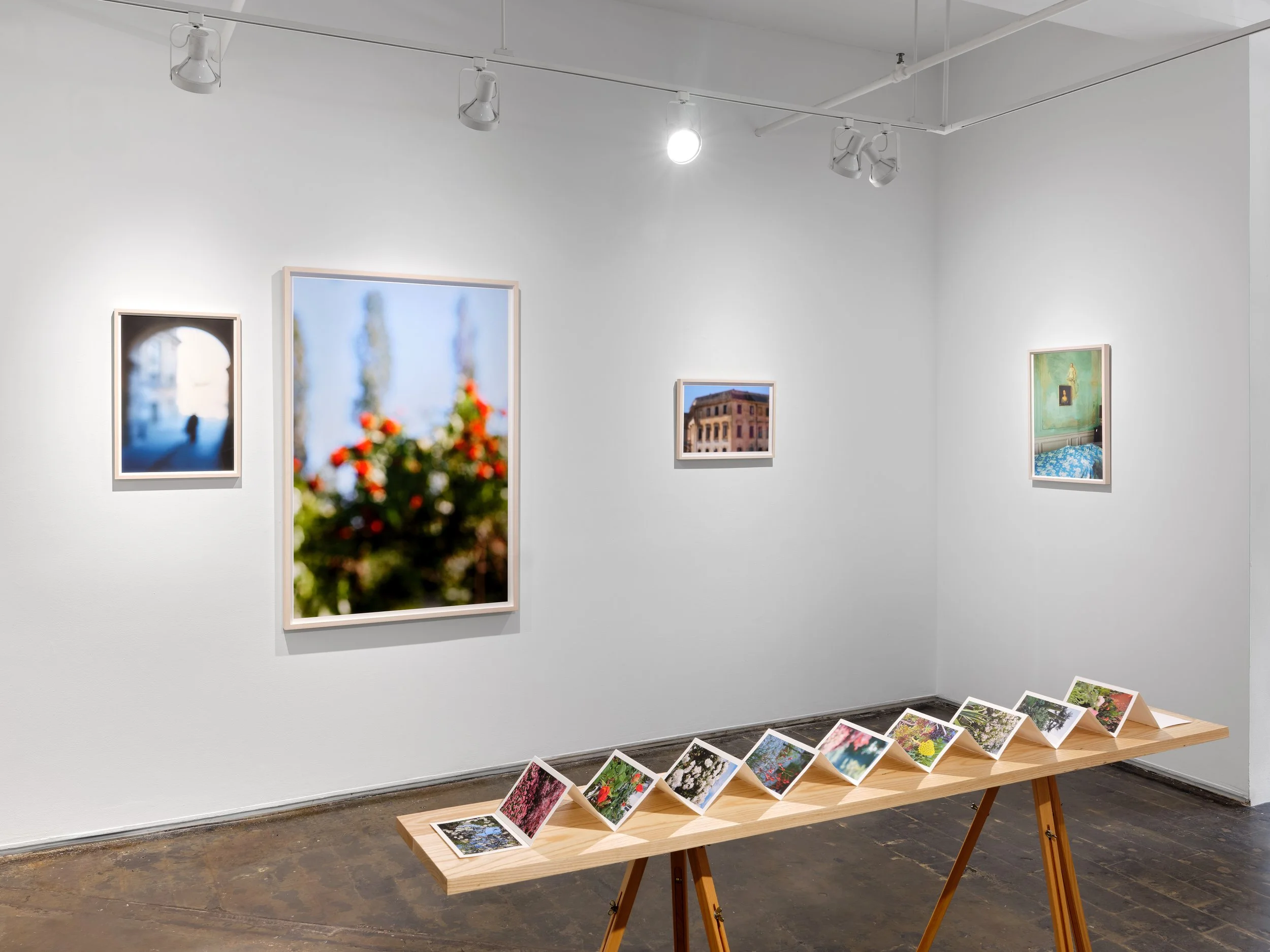 250913_AIR Gallery_Installs_G1_06.jpg