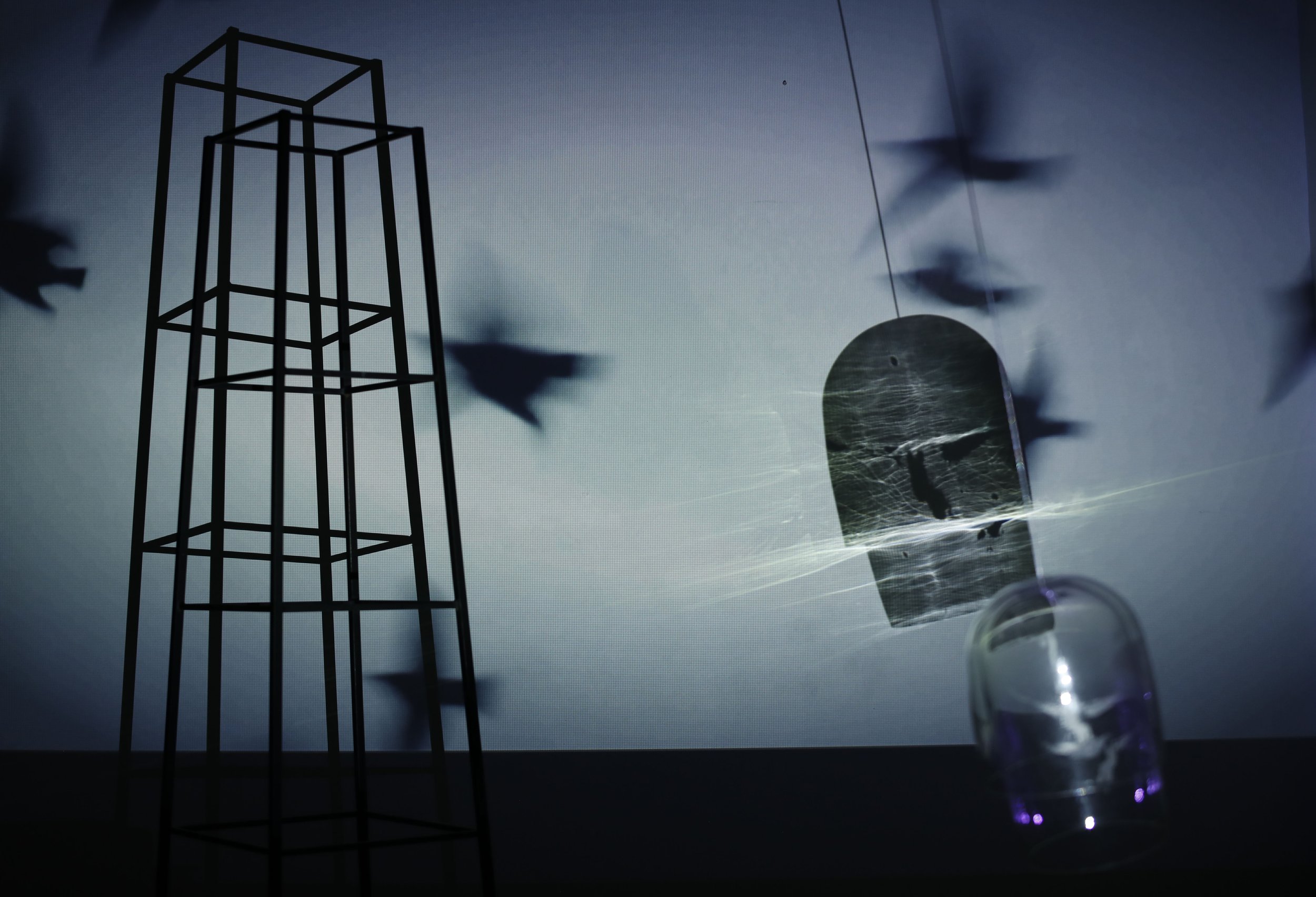 APYoung_Still Life_2025.jpg