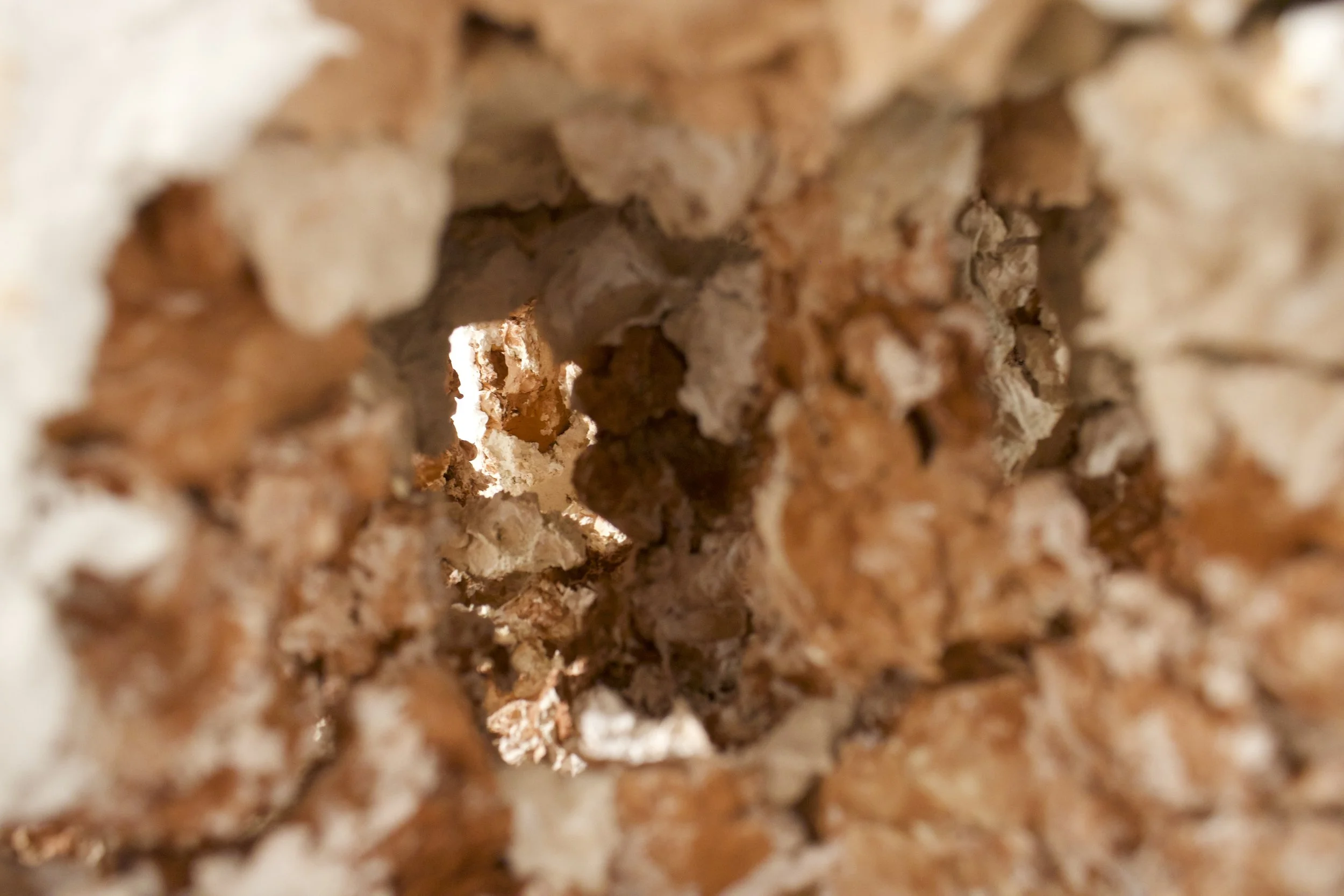   Exploring Cavernous Blocks of Stagnation , Detail - view from in a cavern 