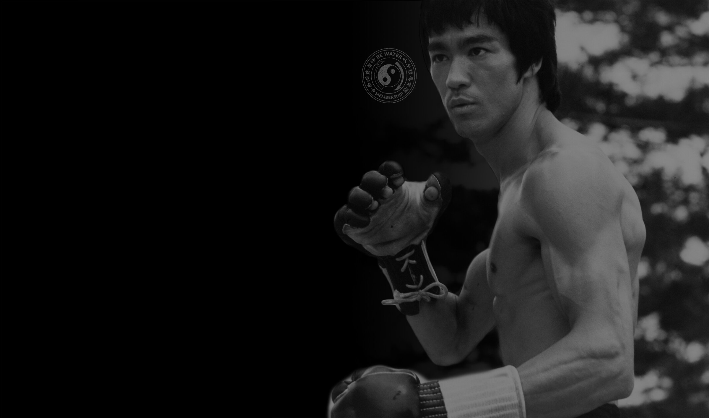 Bruce Lee Bruce Lee