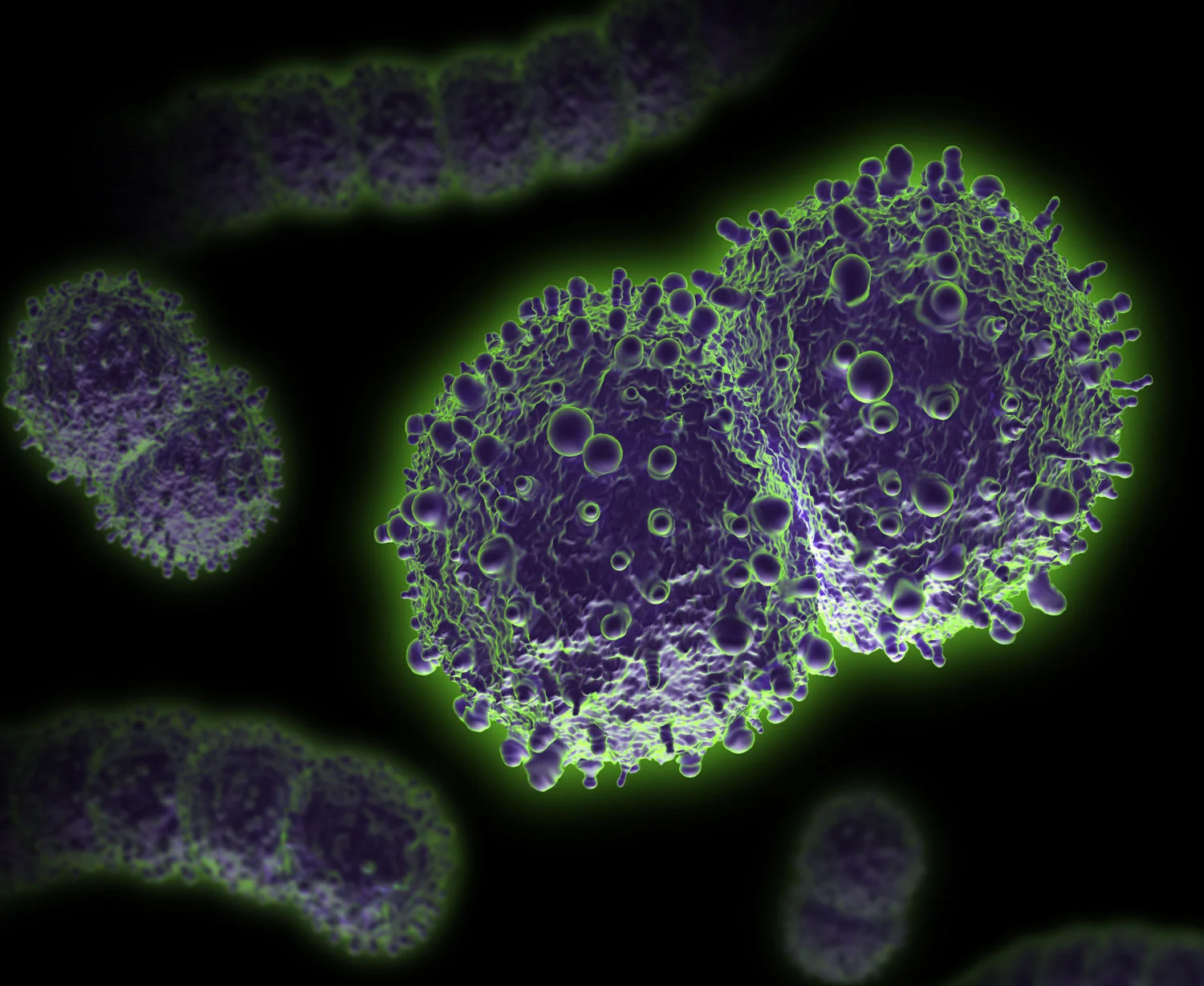 Diplococci