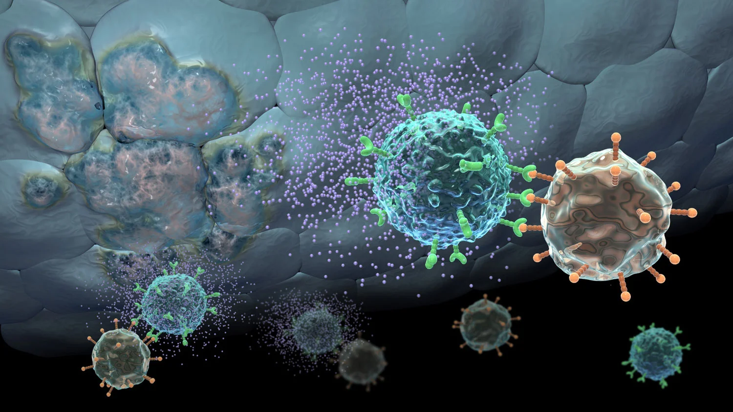 Cytokine Release