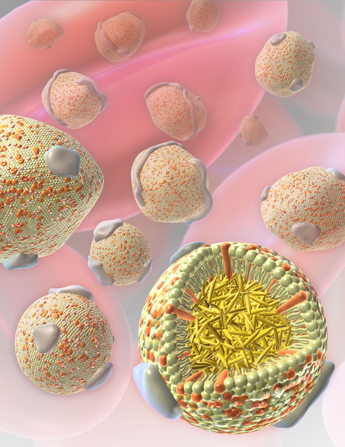Lipoproteins
