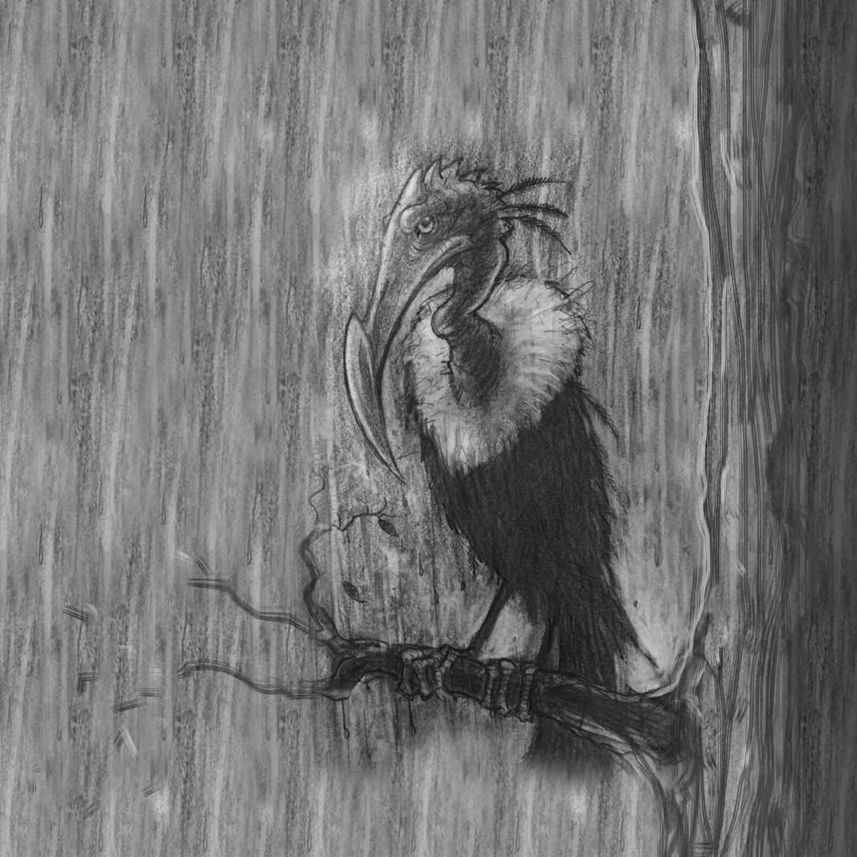 vulture_in_rain_sized_right.jpg