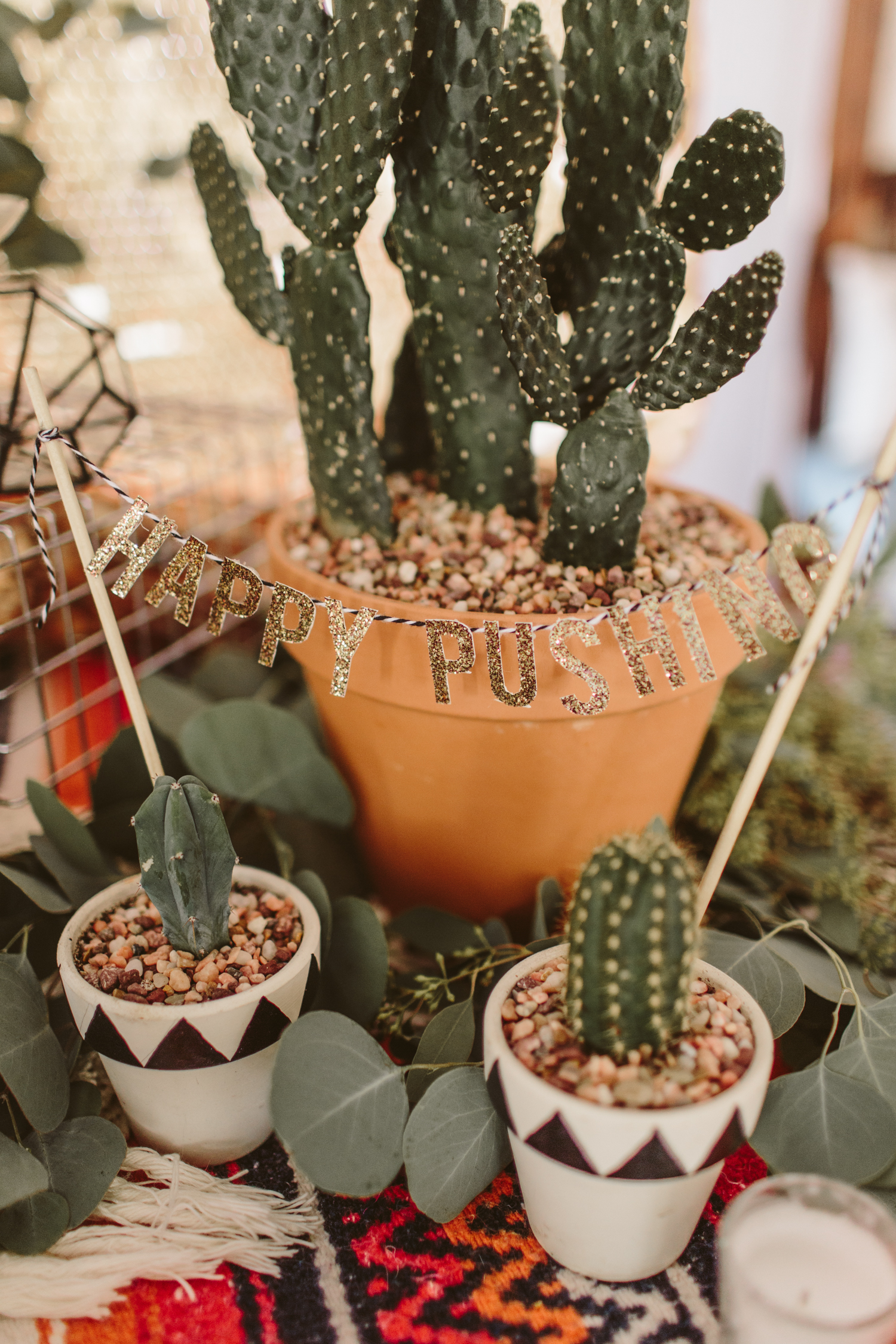 Southwest Inspired Baby Shower