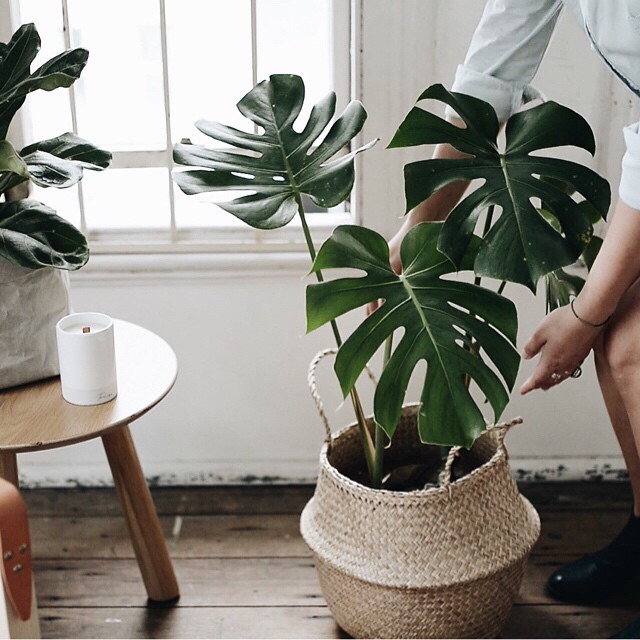 image via wearetriibe