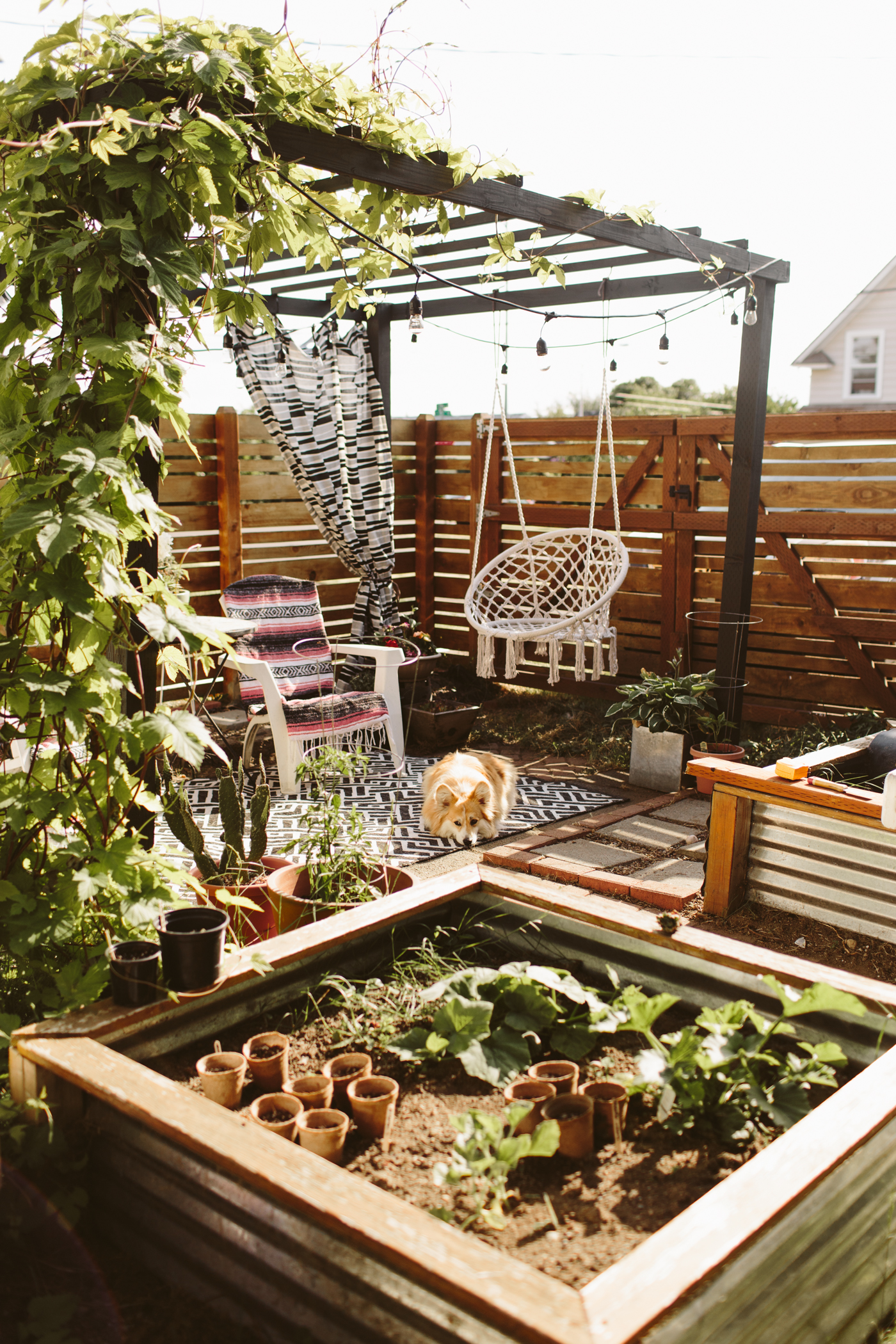 DIY Pergola Tutorial for under $100