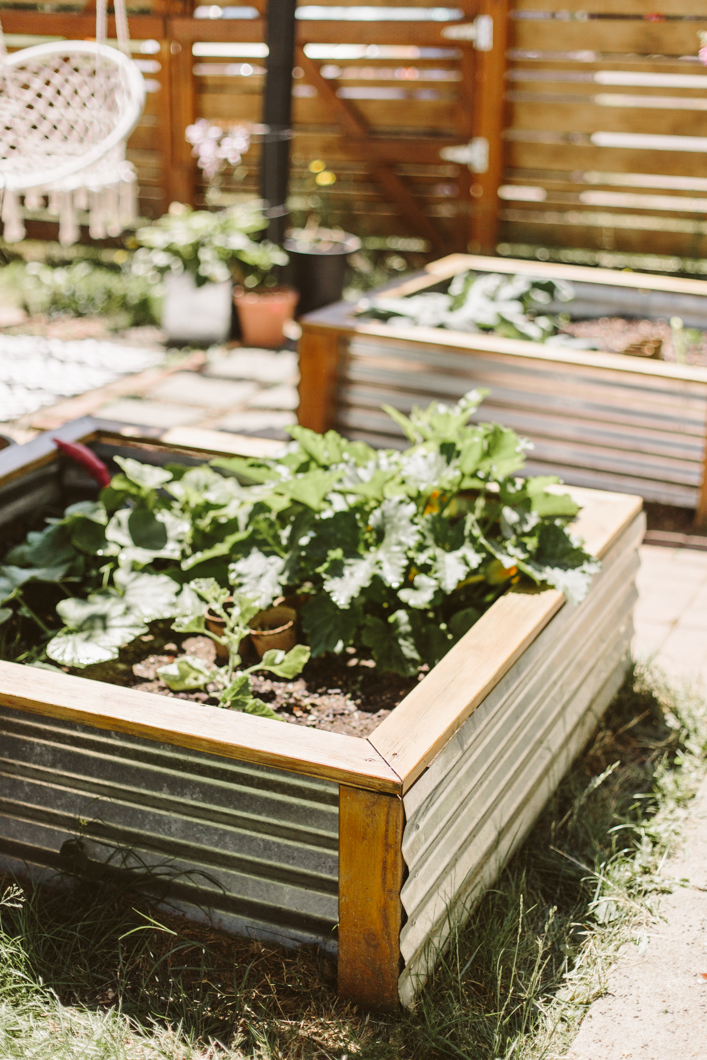 Diy Corrugated Metal Raised Beds Liz