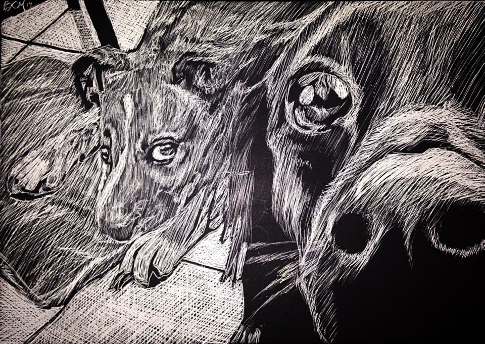 "Night and Day", scratchboard.