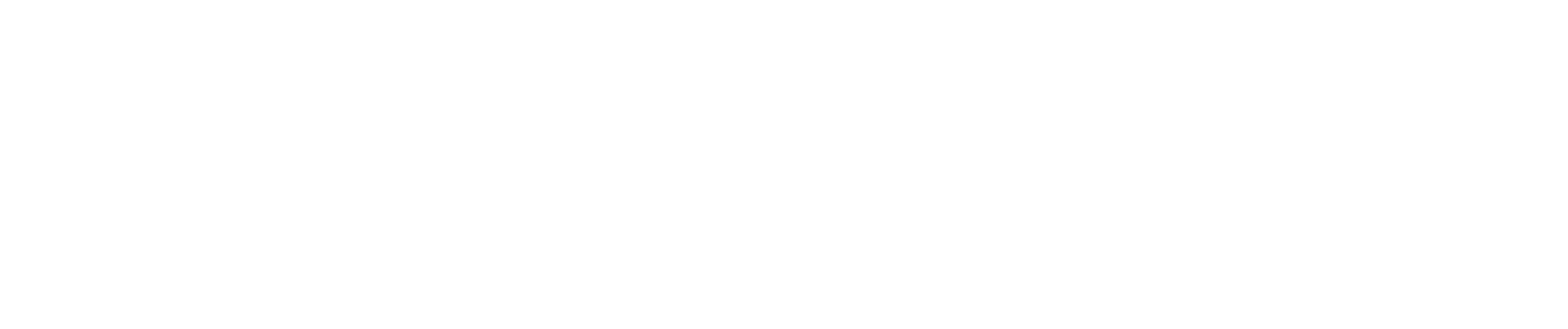 LS_logo_full_WHITE.png