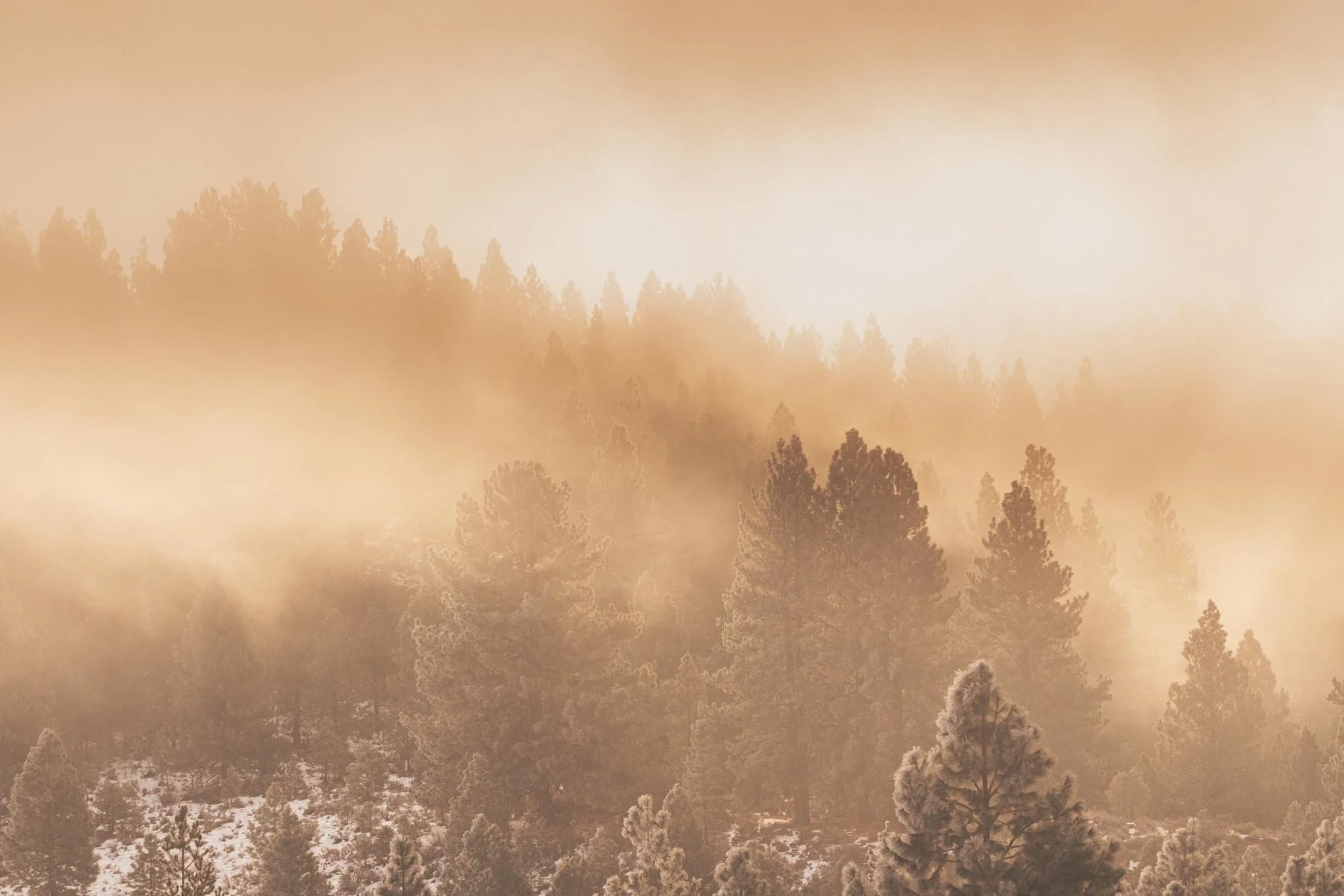 C6701CB5-FE4A-4124-9A6C-9451C66B97C2