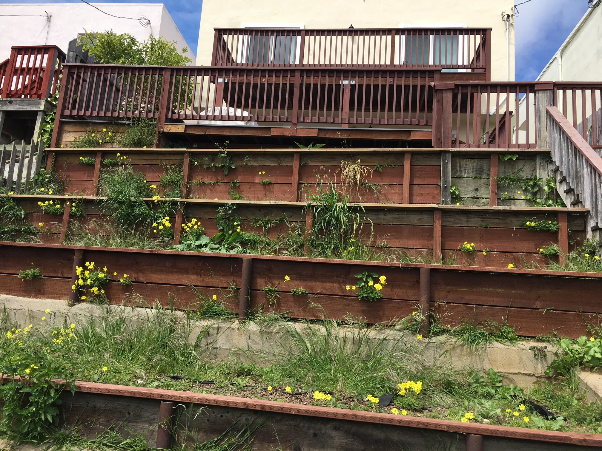 A truly challenging backyard in Mount Davidson Manor, before