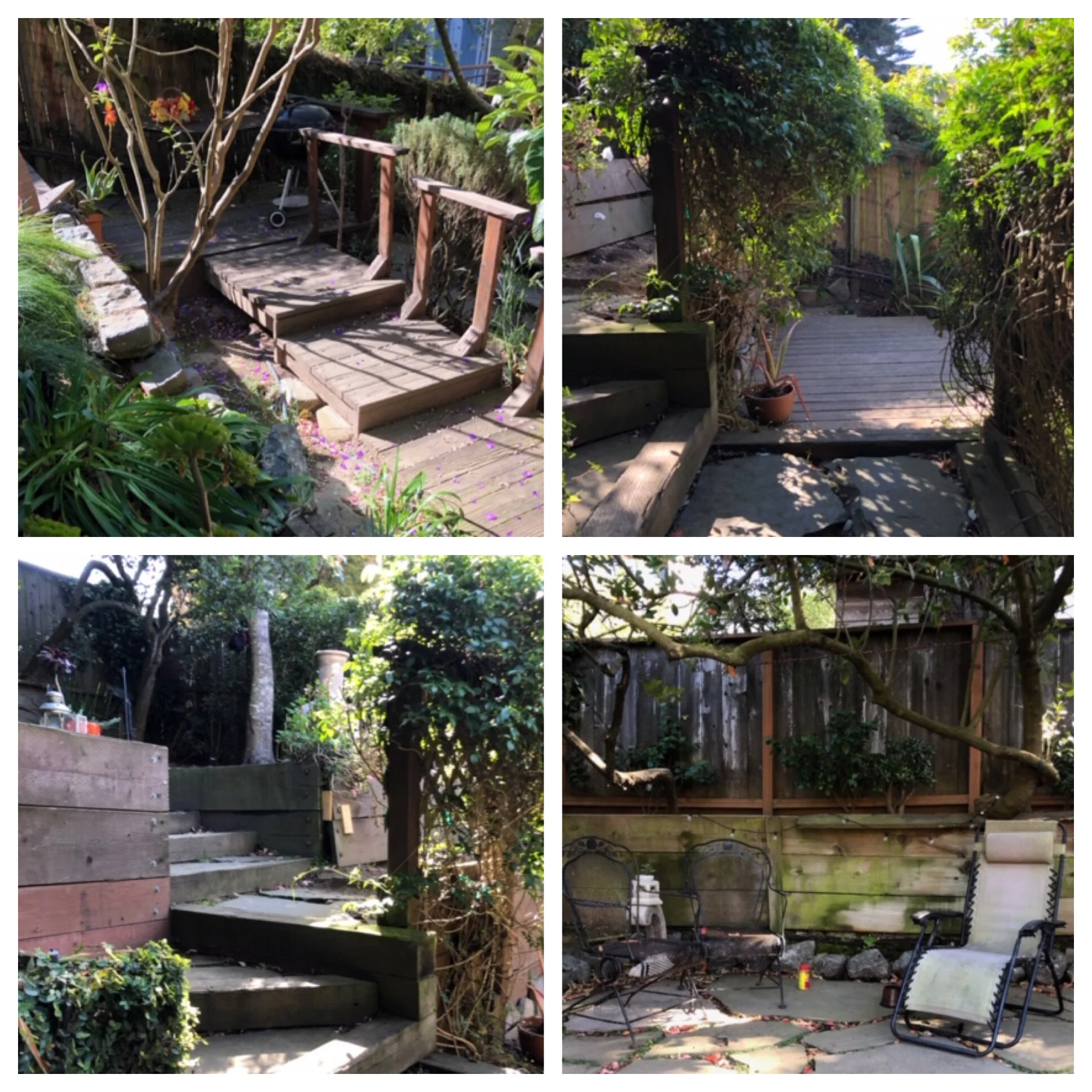 Backyard in the Castro, before