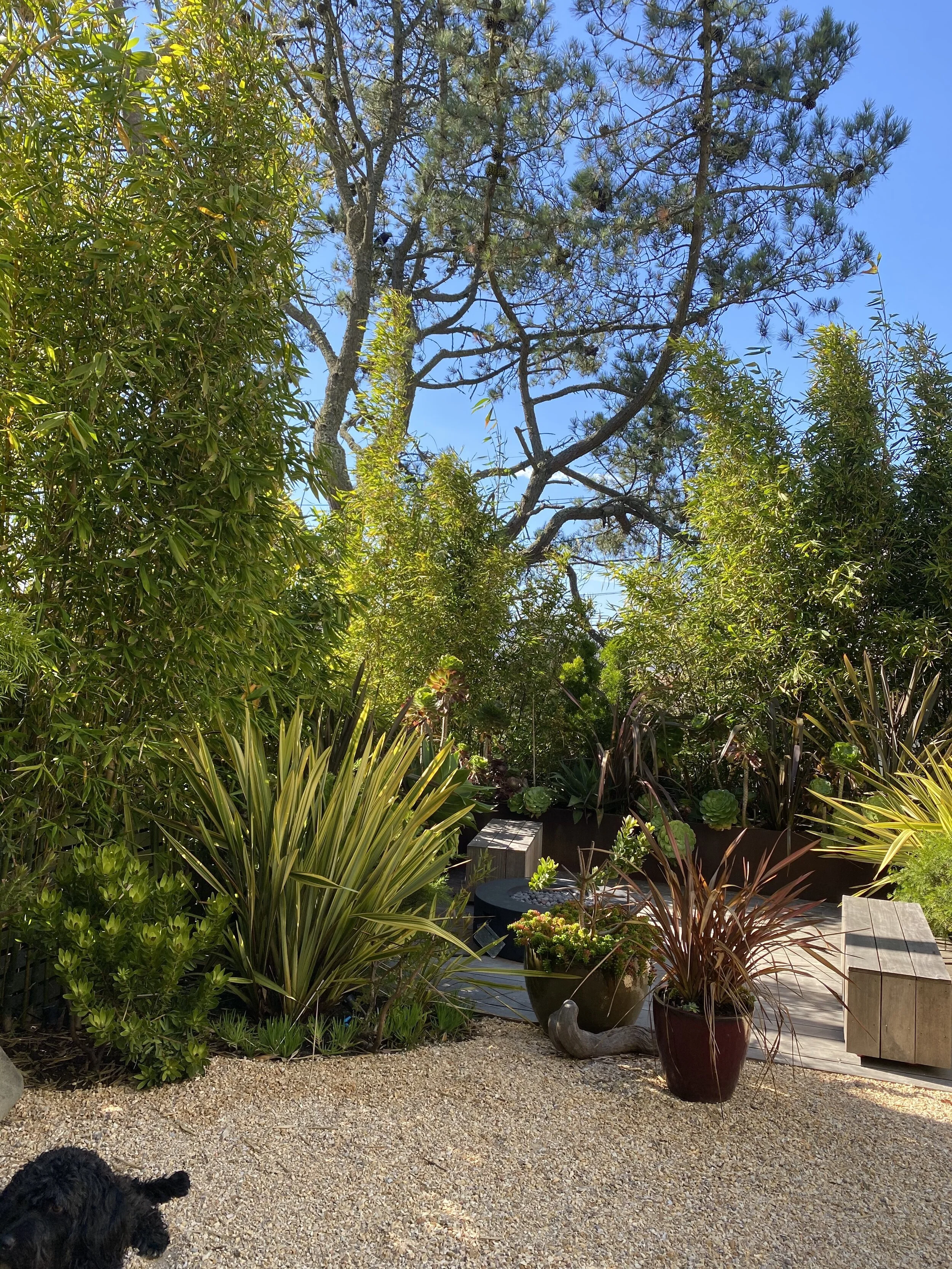 .. and six years after 