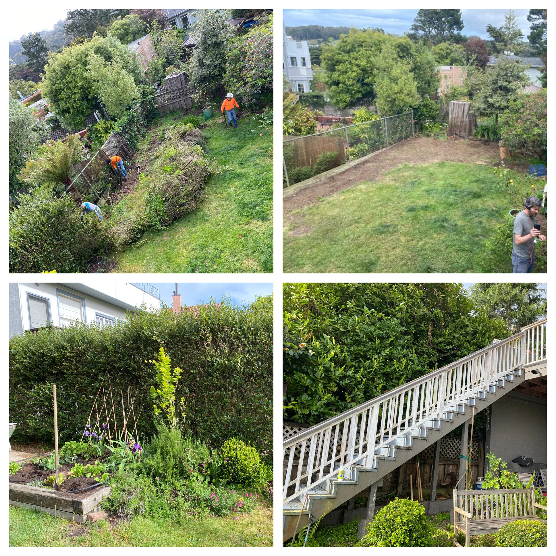 Backyard in Sea Cliff, before