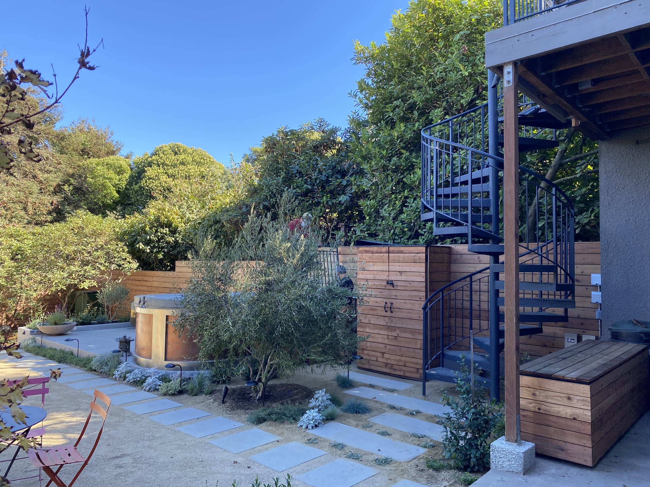 Backyard in Sea Cliff, after