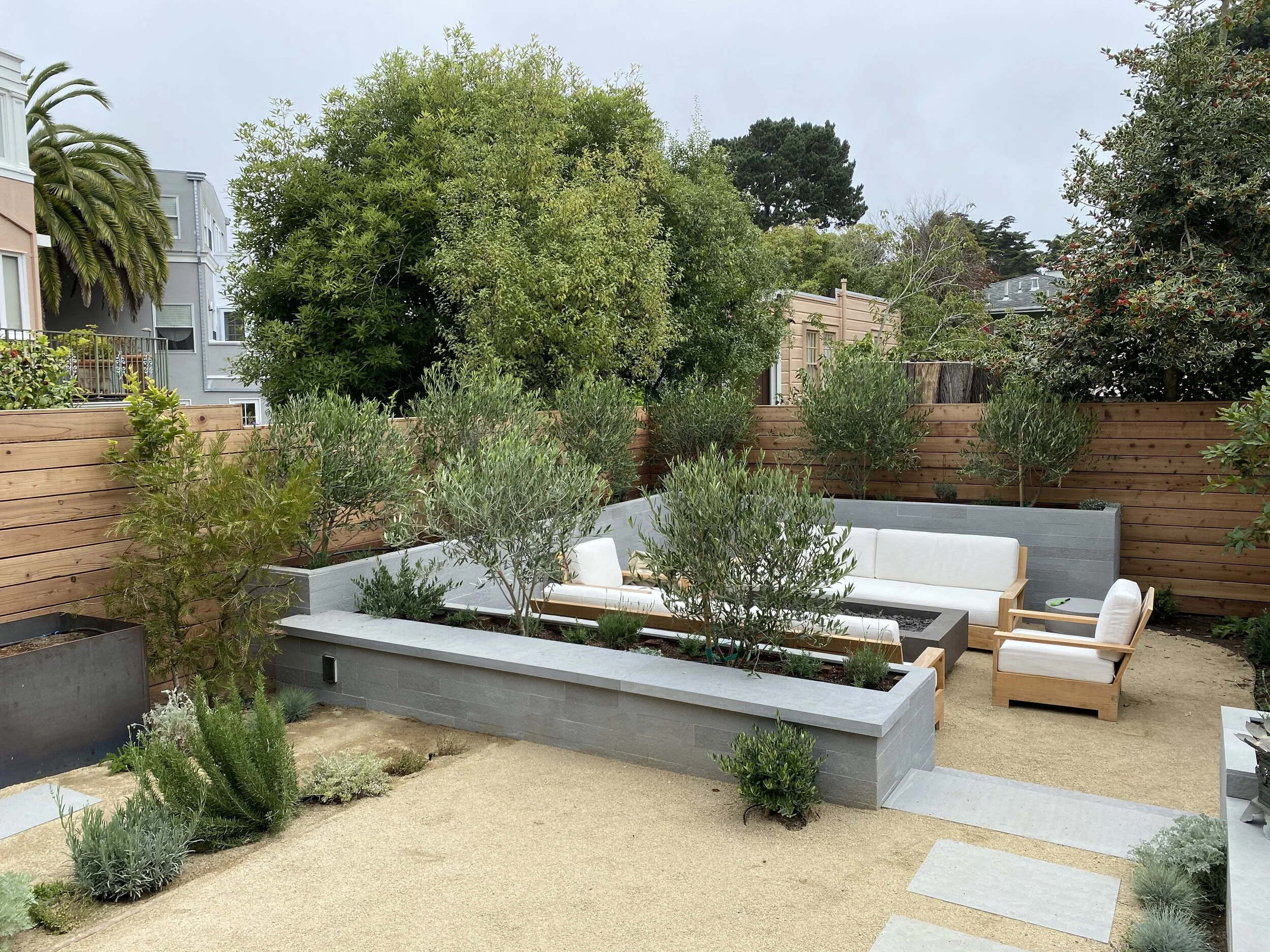 Backyard in Sea Cliff, after