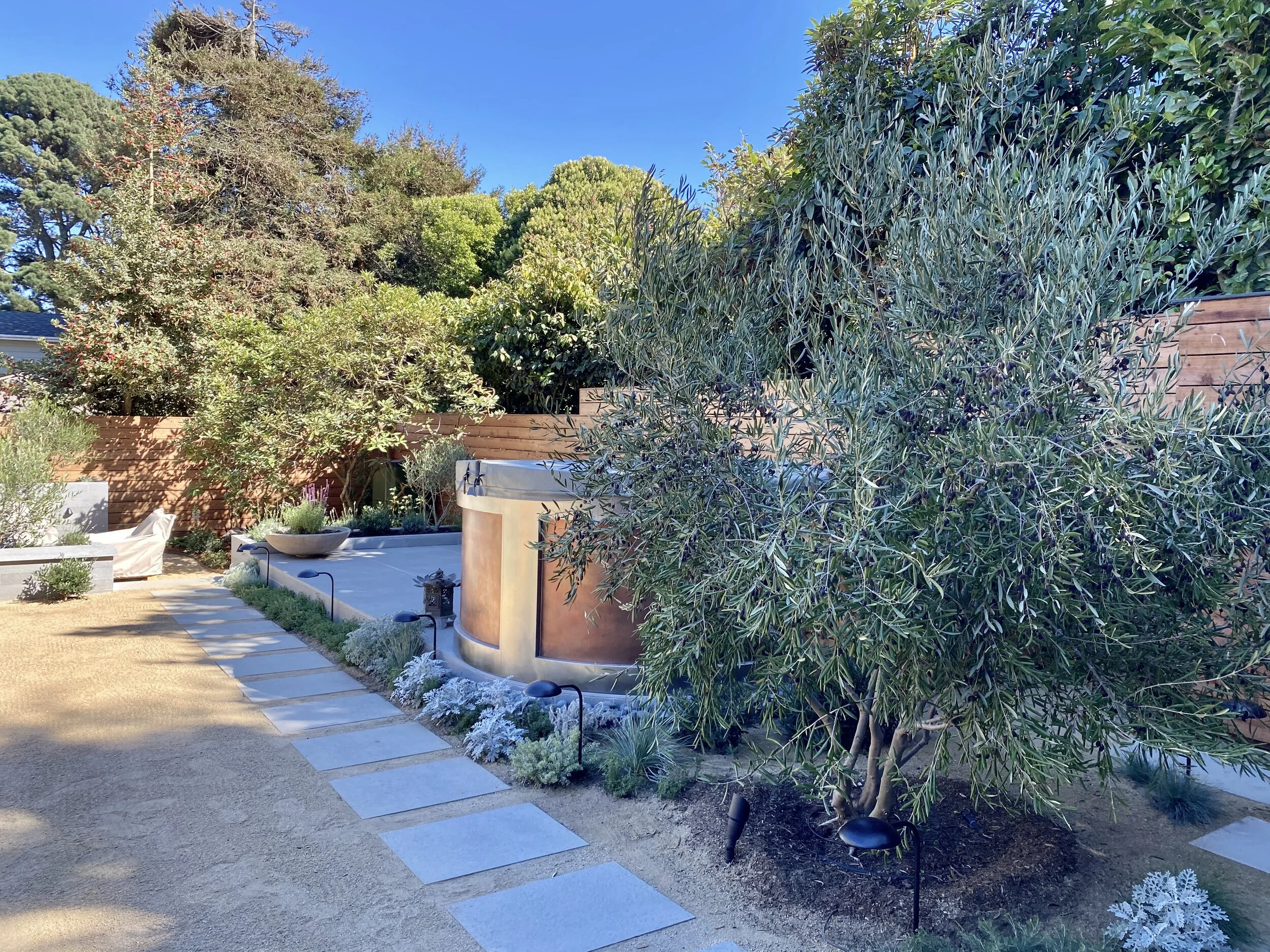 Backyard in Sea Cliff, after