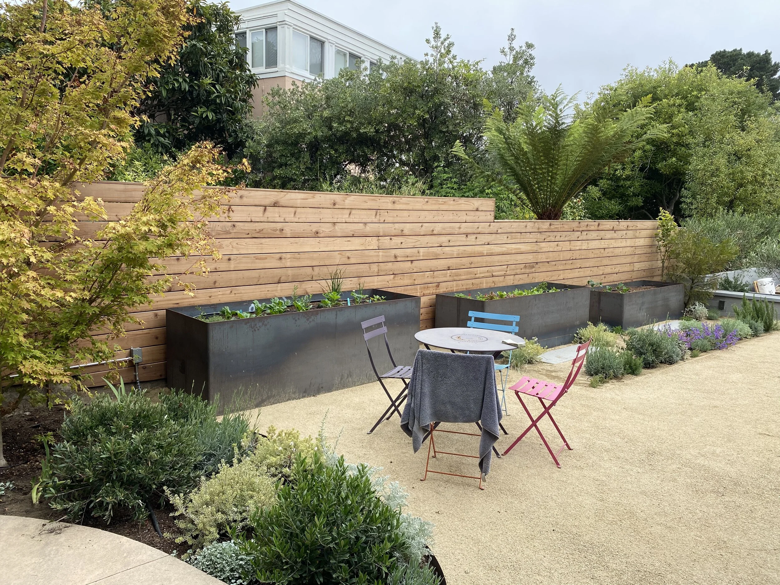 Backyard in Sea Cliff, after