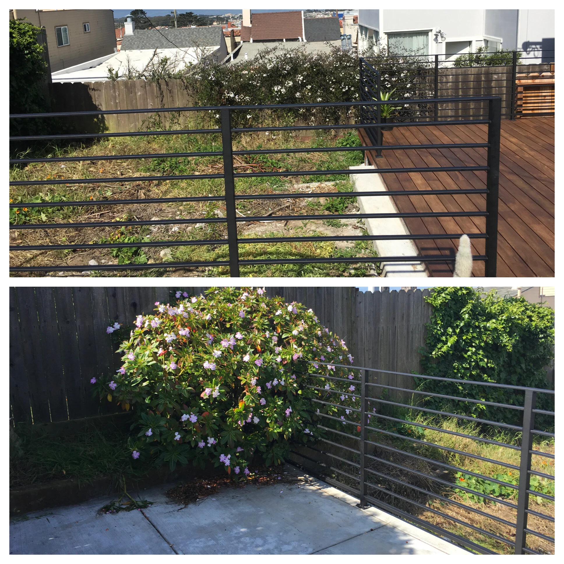 Backyard in West Portal, before