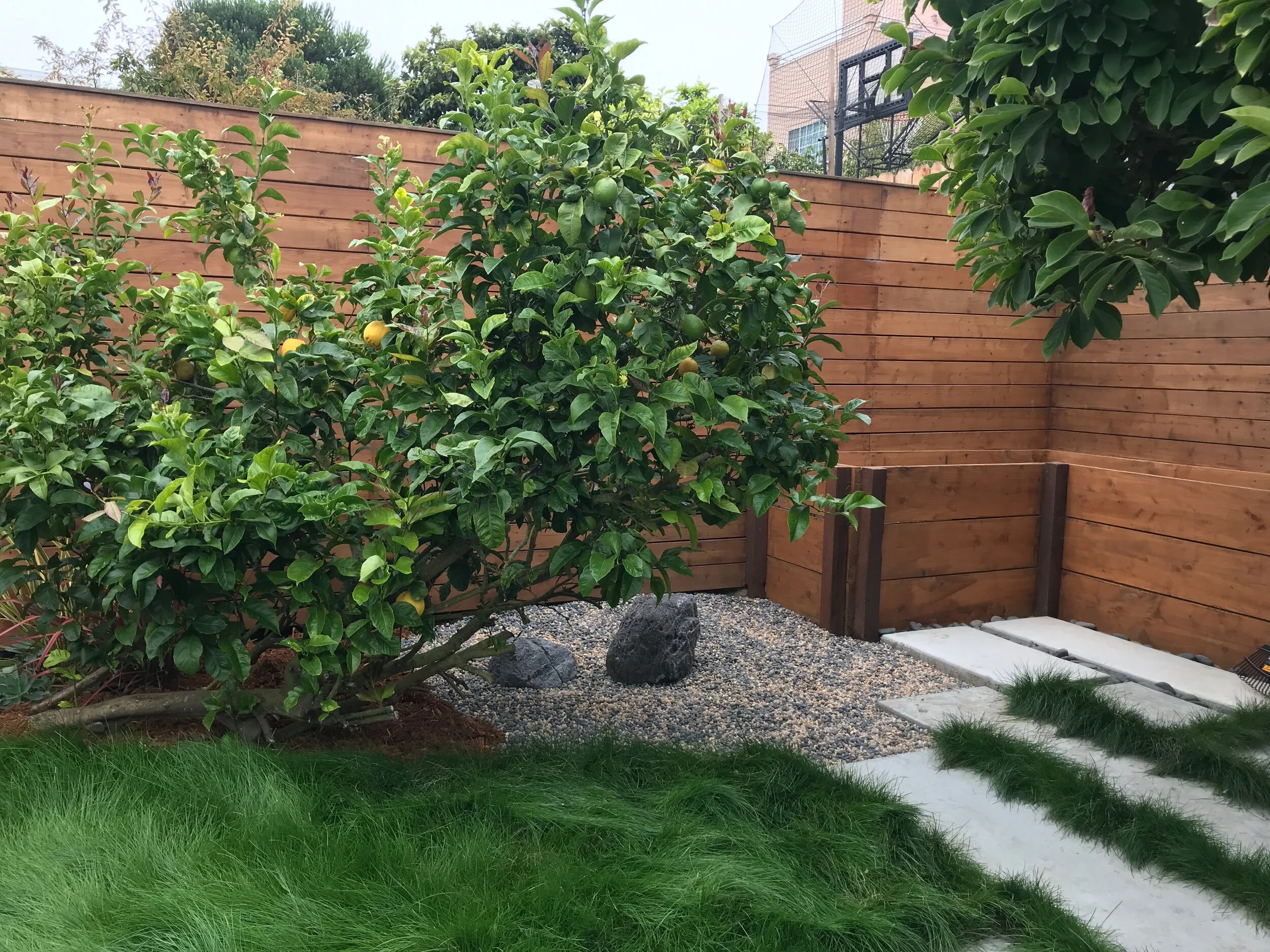 Backyard in the Outer Richmond, Lemon dog corner, after