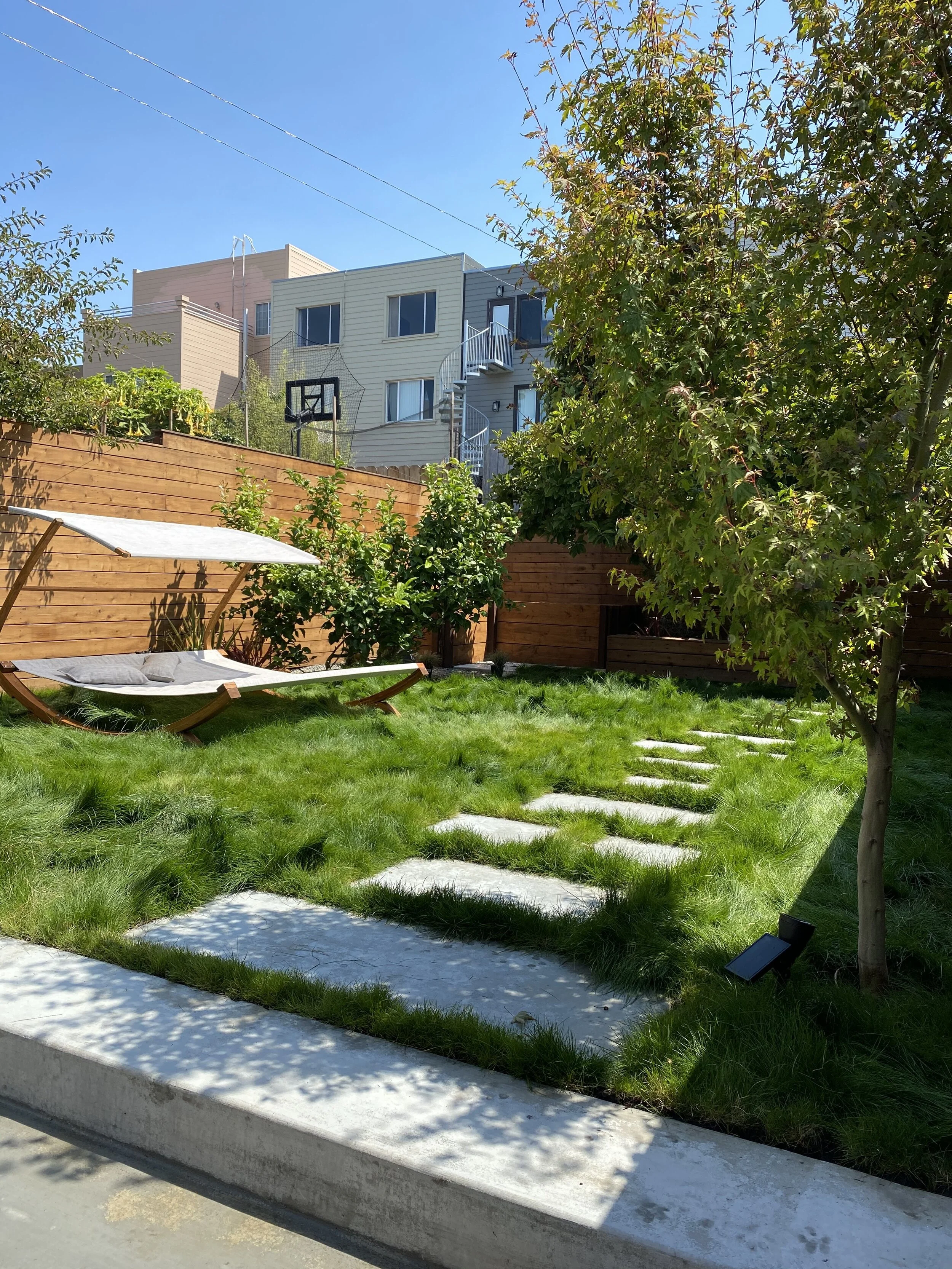 Backyard in the Outer Richmond, after