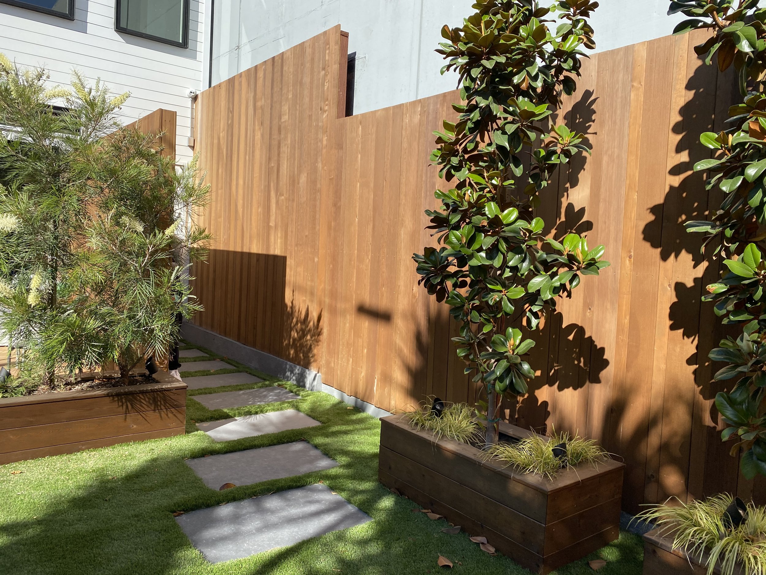 A secluded yard in the Mission, after 