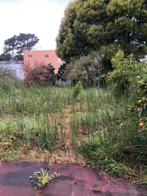 Outer Sunset, before