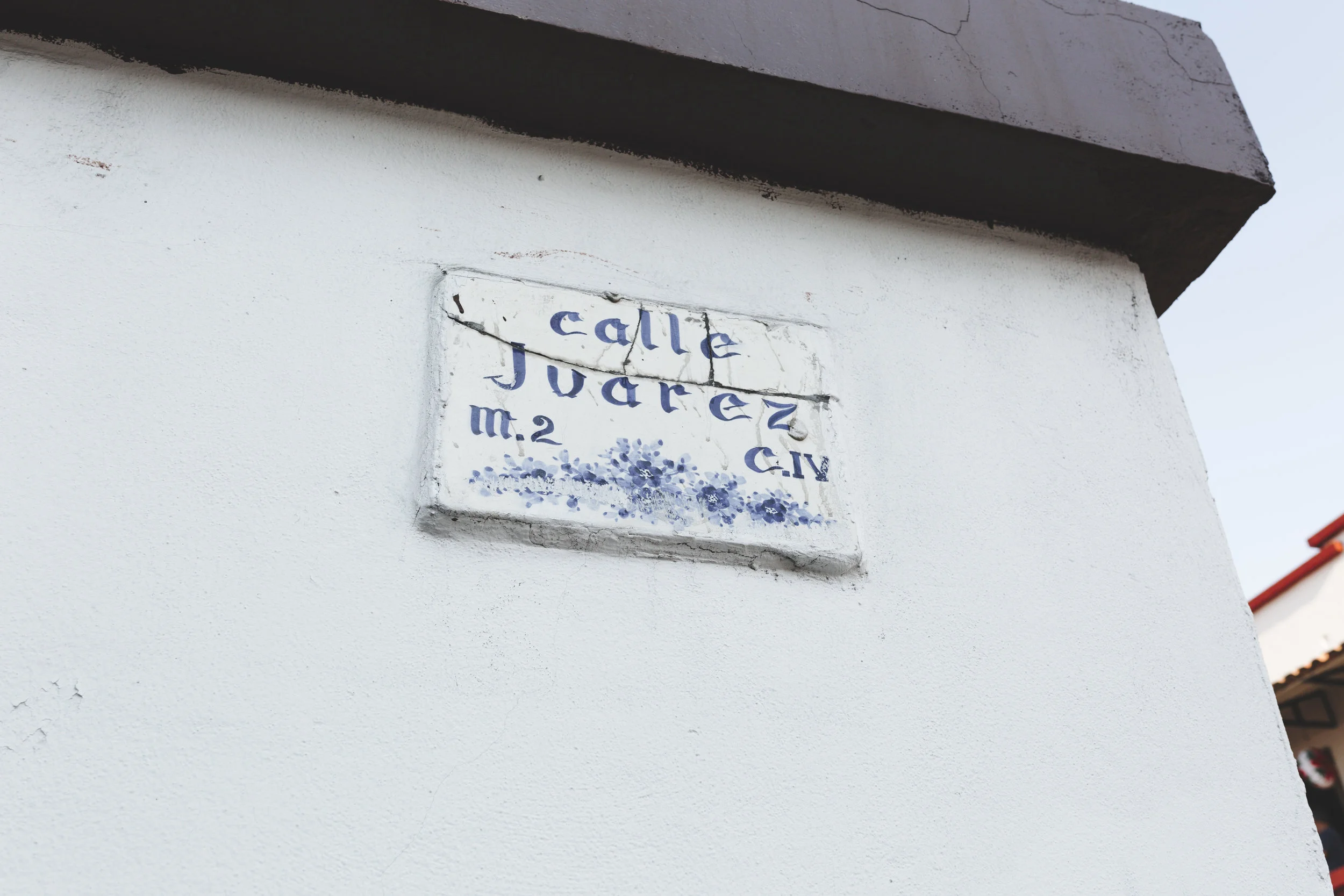 IJG_1396.jpg