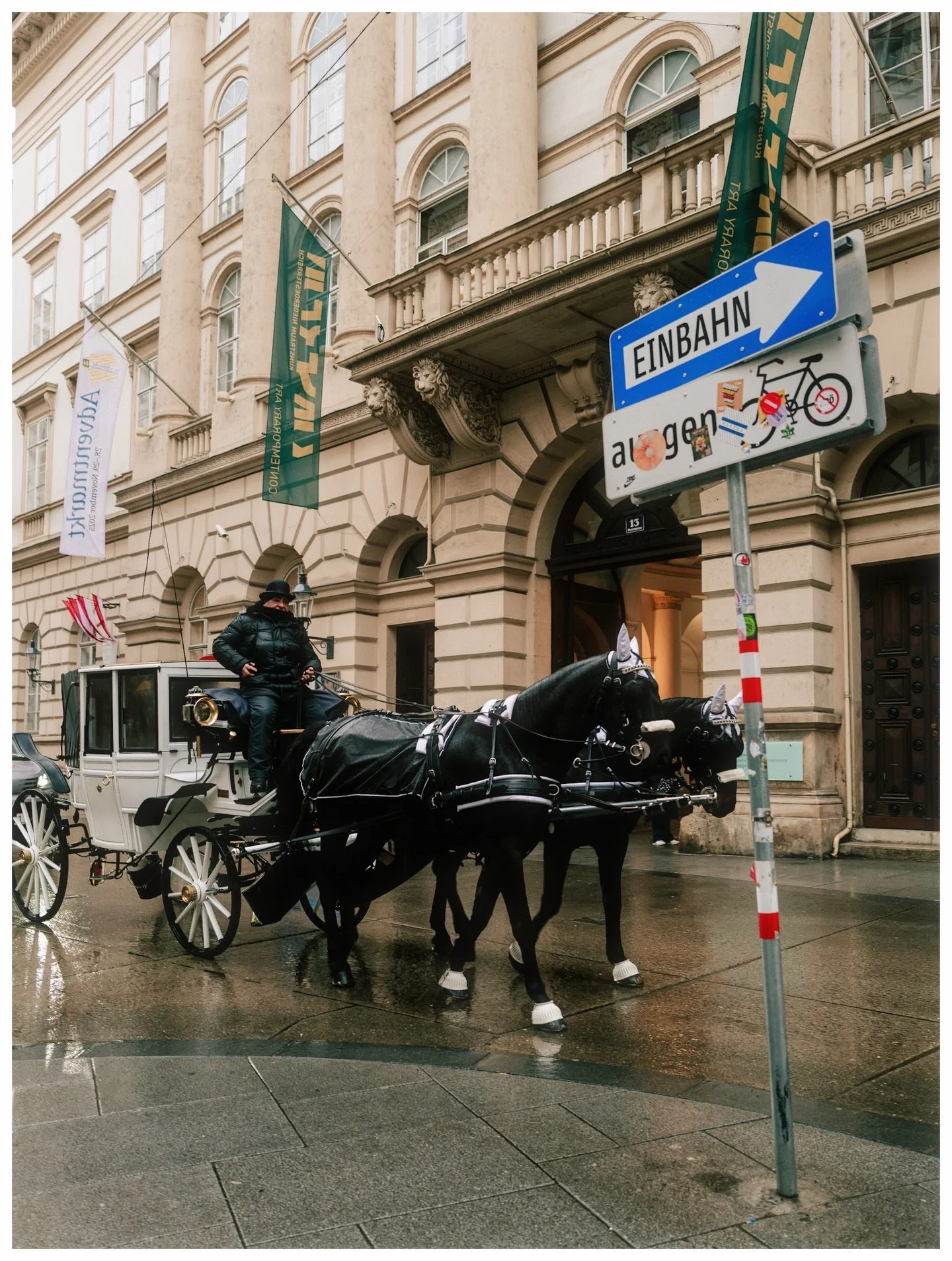Morning walks in Vienna 🐎

#vienna #christkindlmarkt #leicaq3