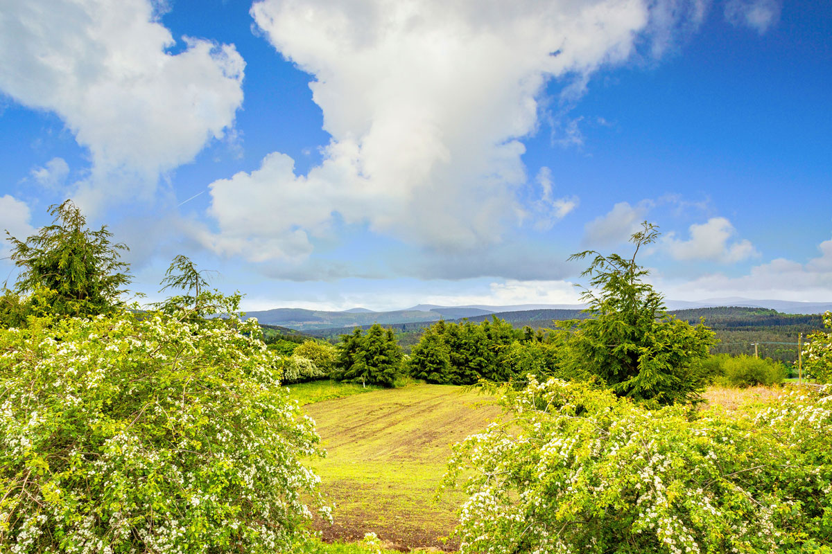 esker spririts royal deeside