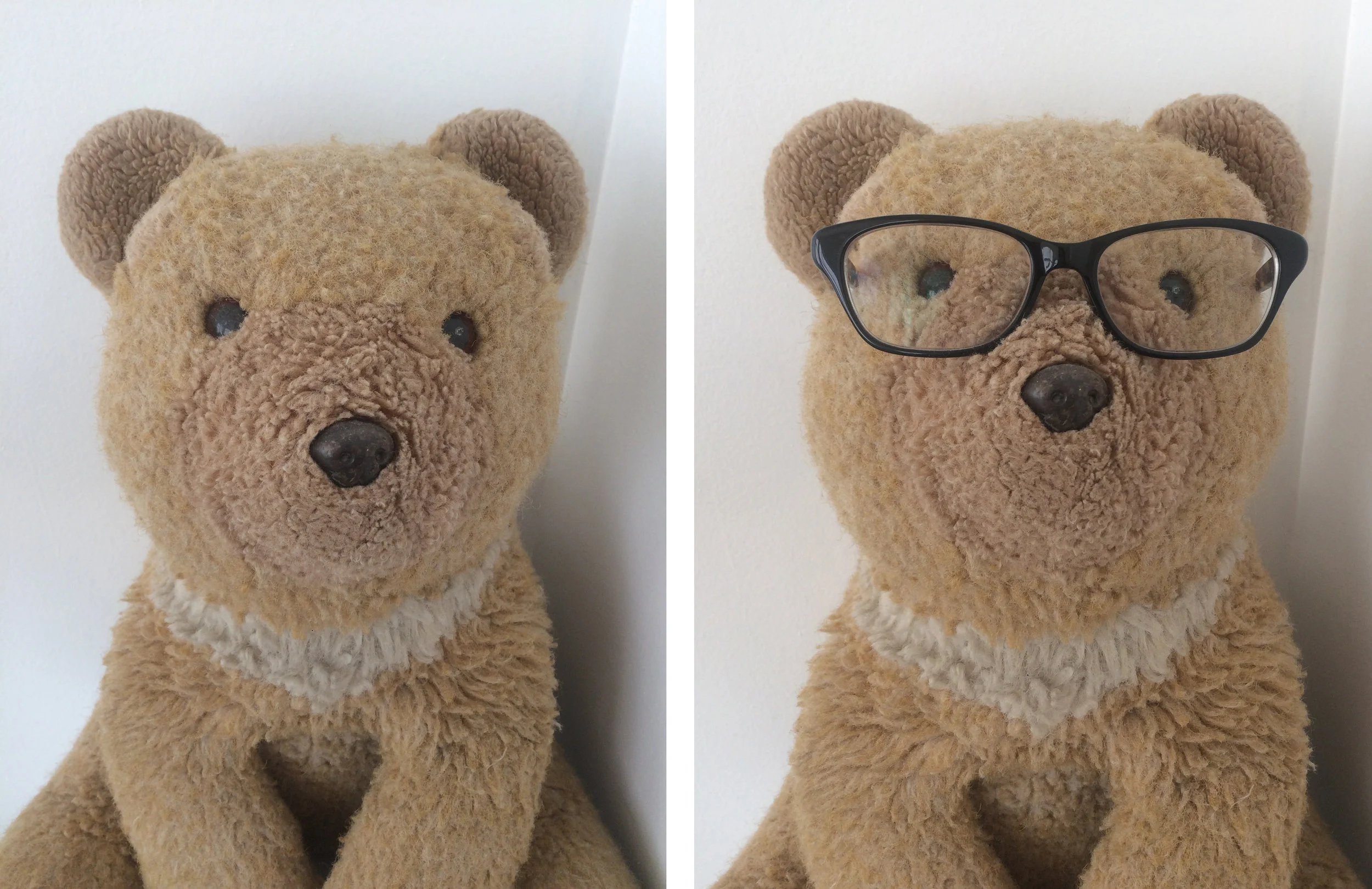 i know the bear on the right looks so much smarter!