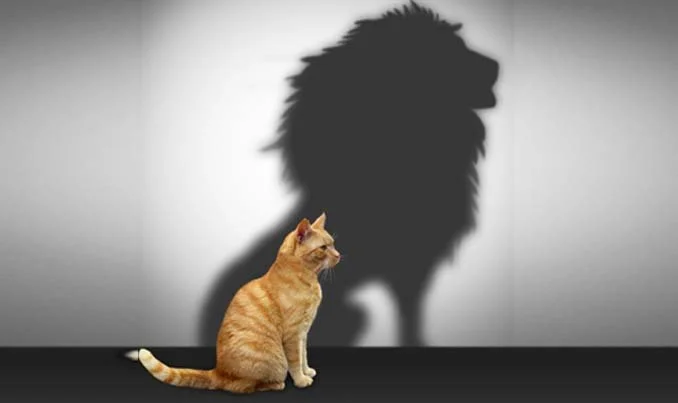 5 Habits – 5 Days: Boost Your Self-Confidence in One Work Week