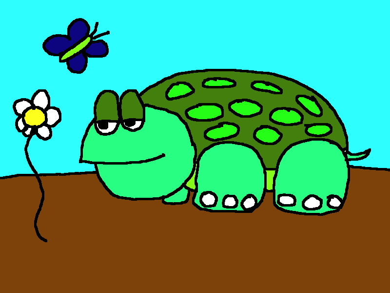 TURTLE.png