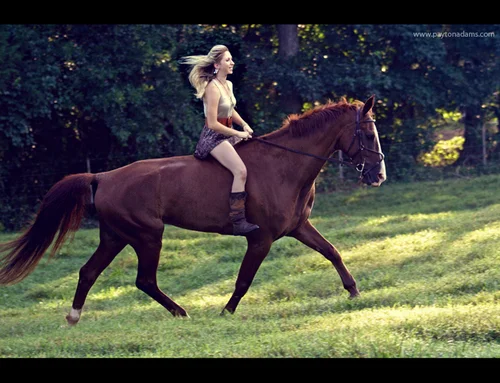 a_girl_and_her_horse_vii_by_picturize-d418dey_large.jpg