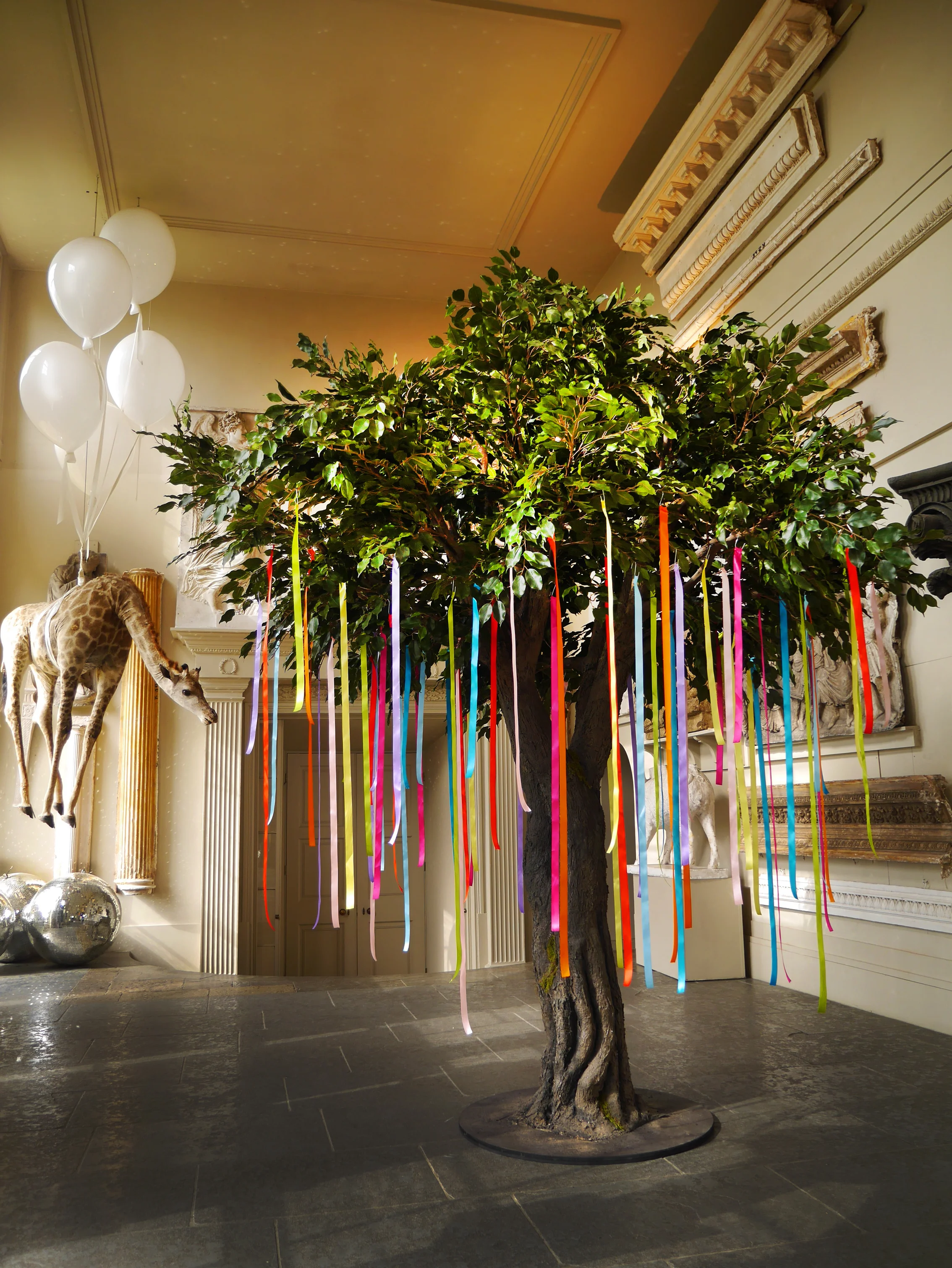 ribbon tree.jpg