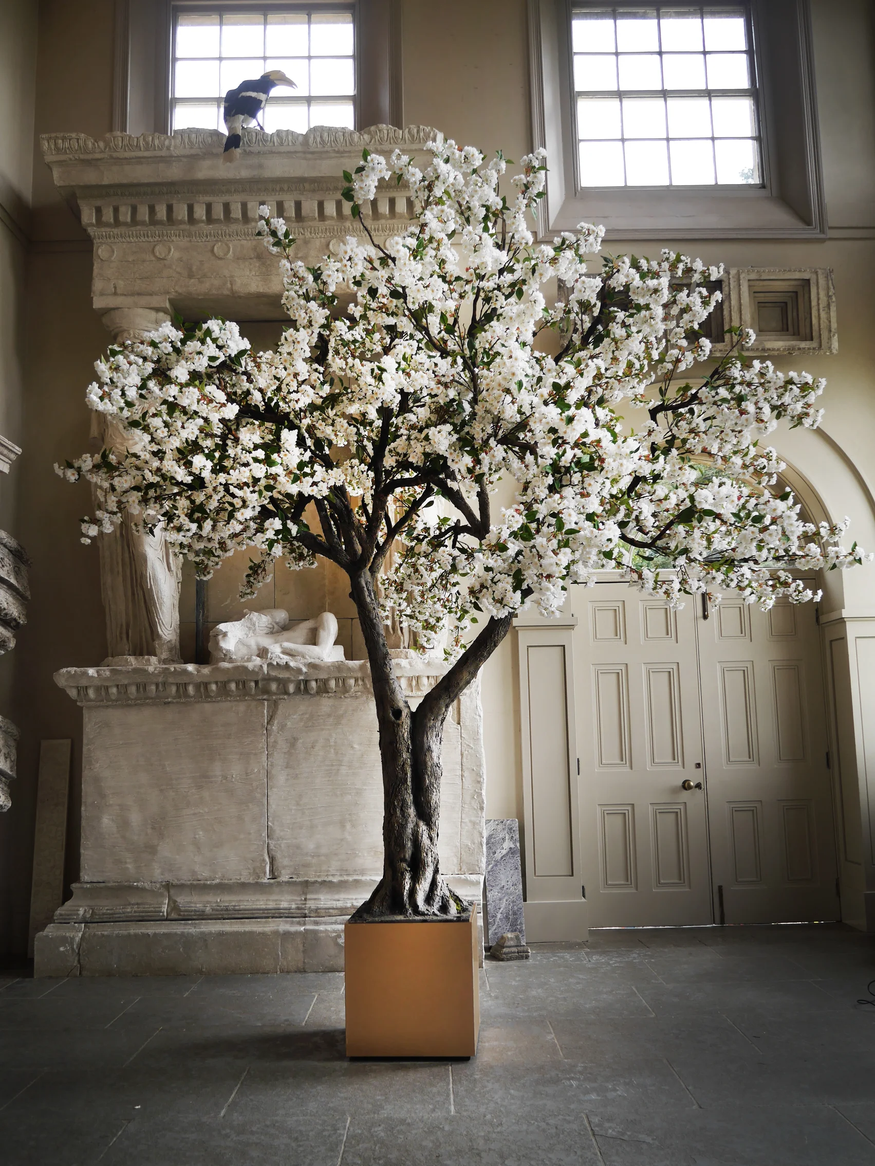 blosom tree cube.jpg
