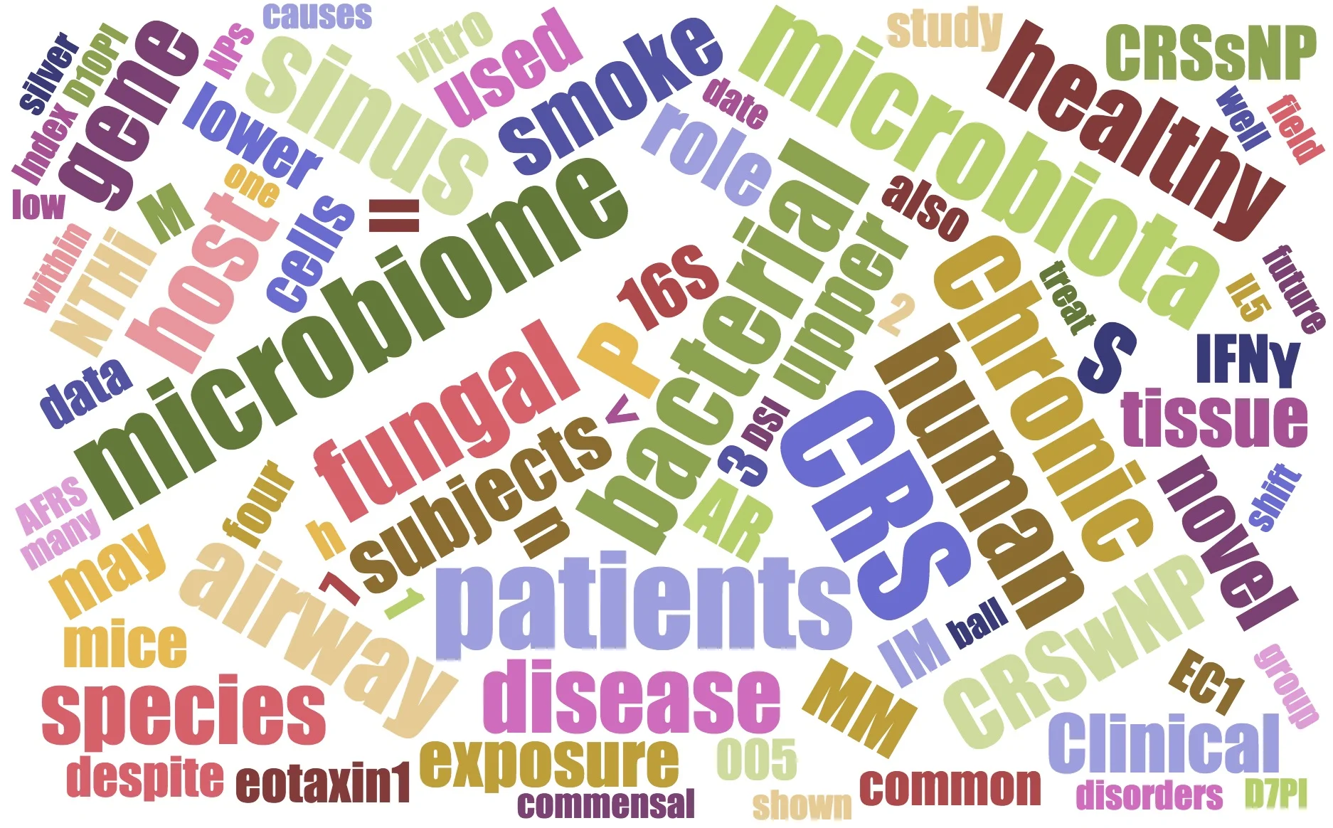 wordcloud_300.jpg