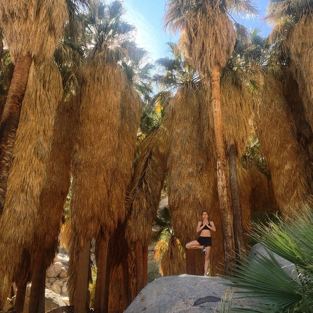 (Photo from 2014 trip to Palm Canyon in Anza Borrego Desert State Park)